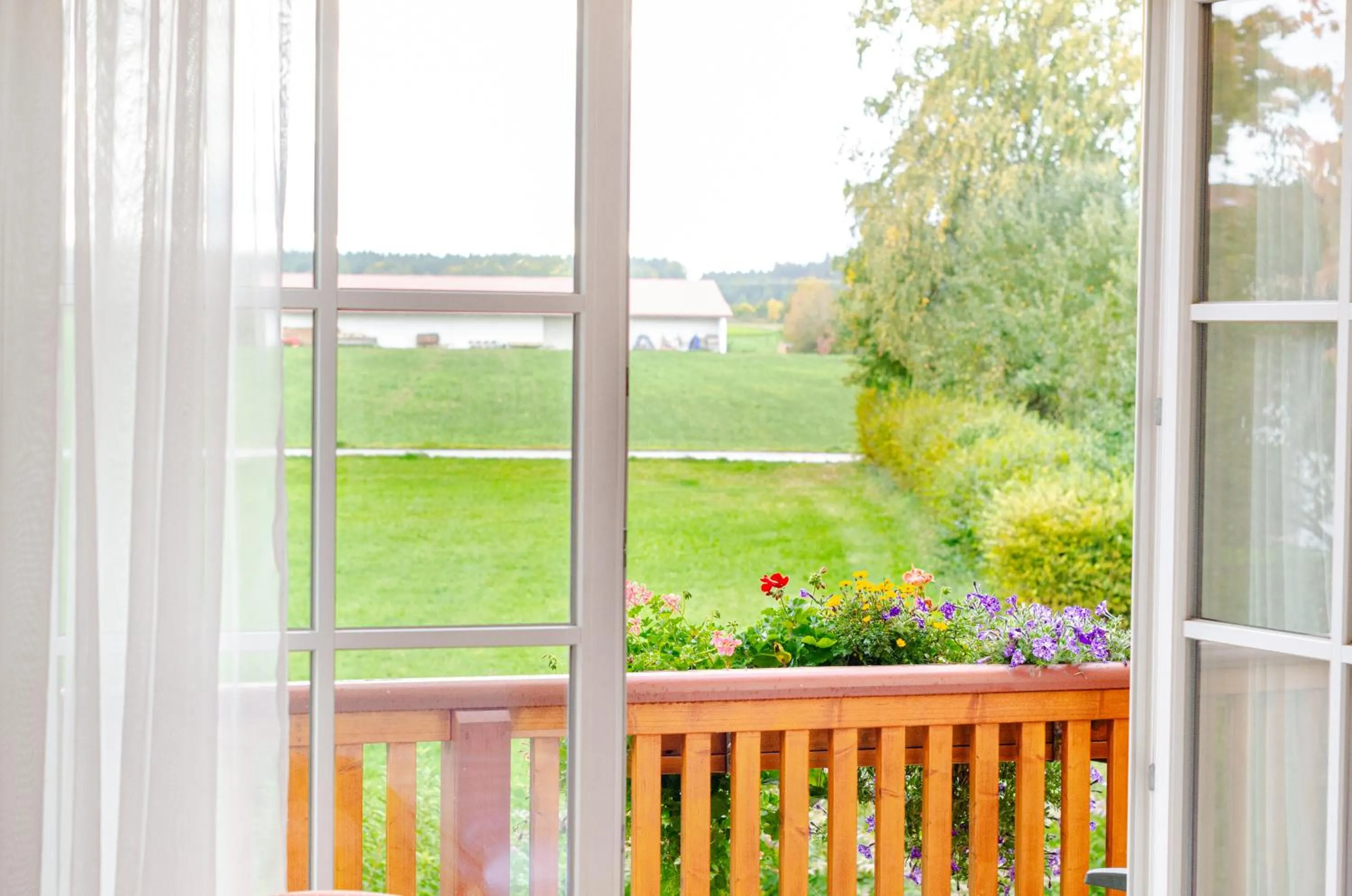 View (from property/room) in Glasl's Landhotel