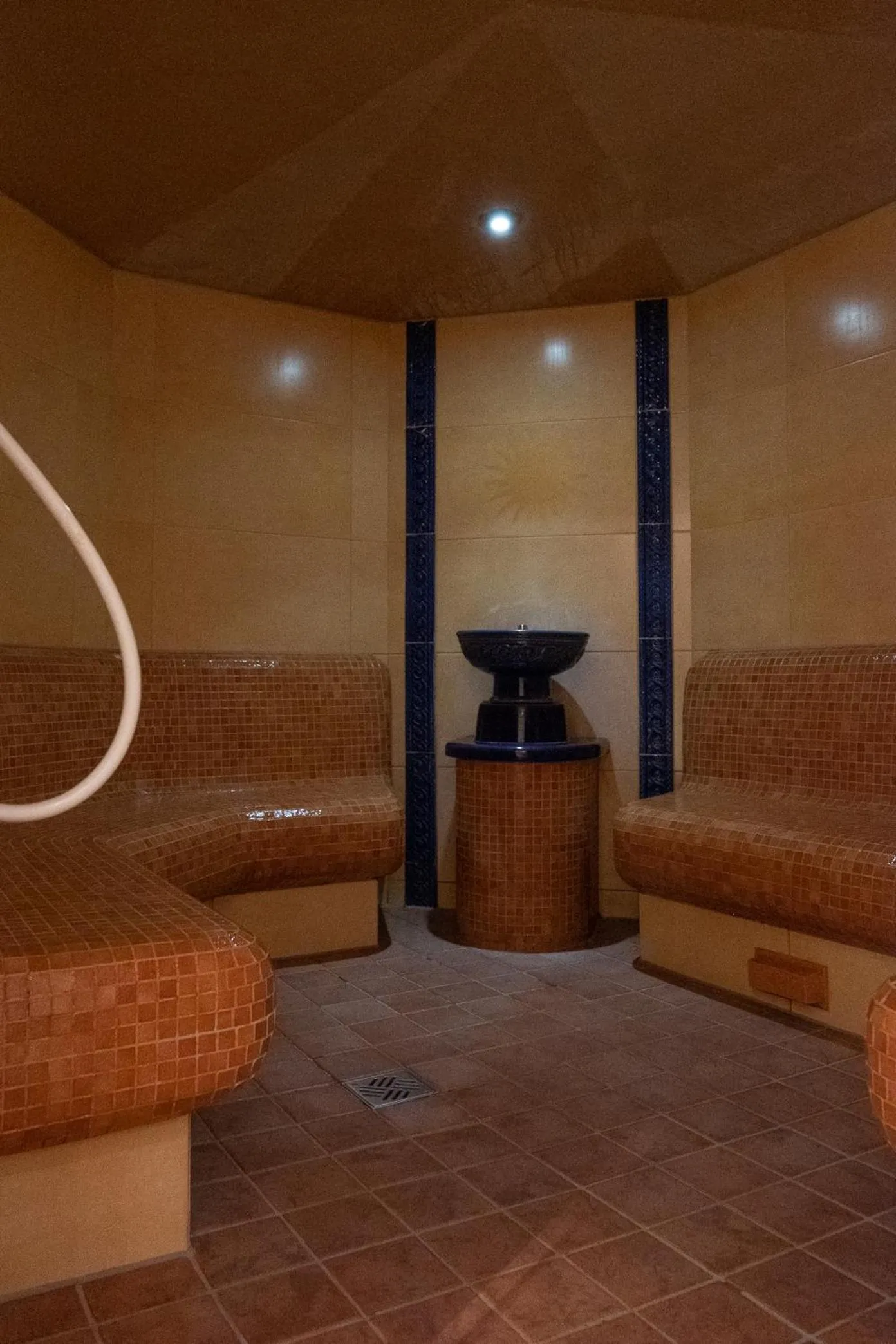 Steam room in Glasl's Landhotel