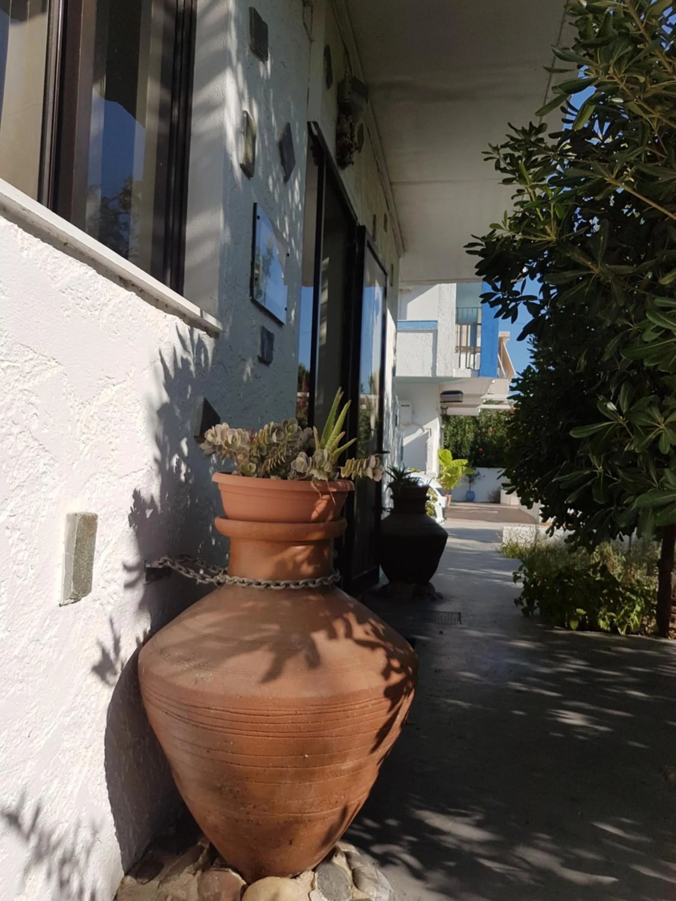 Thalassa Studios
