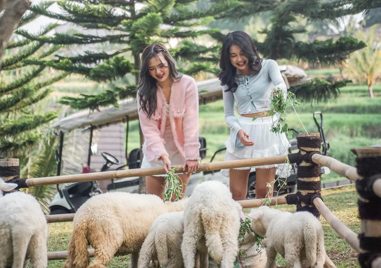 Activities in Shanaya Resort Malang