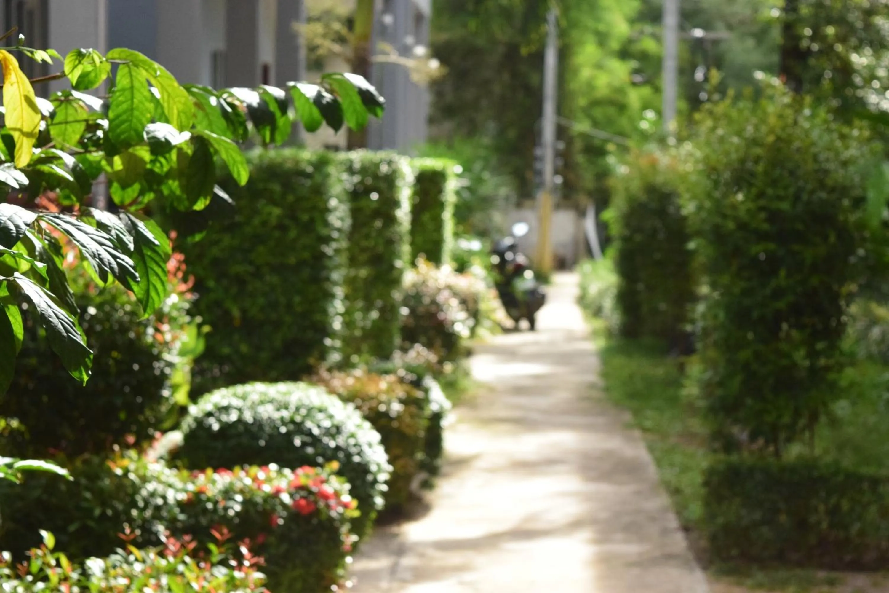 Property building in Tamarind Lanta Resort