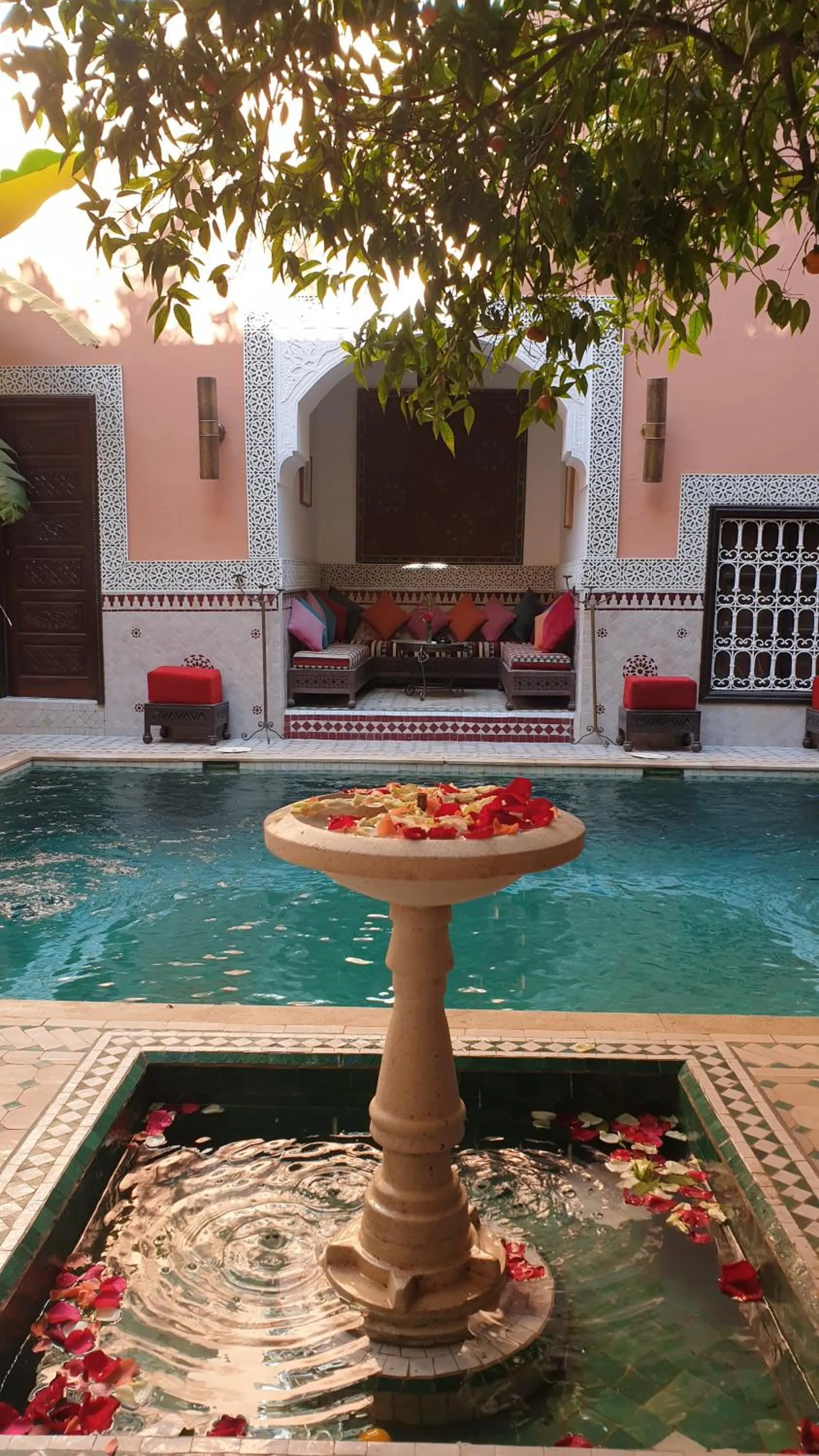 Swimming pool in Riad Barroko