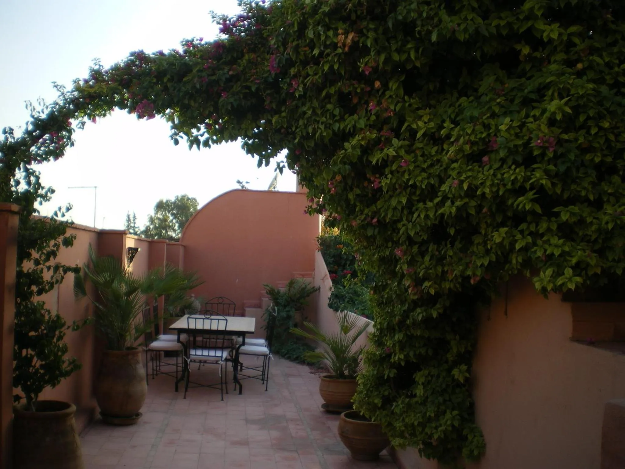 Balcony/Terrace in Riad Barroko