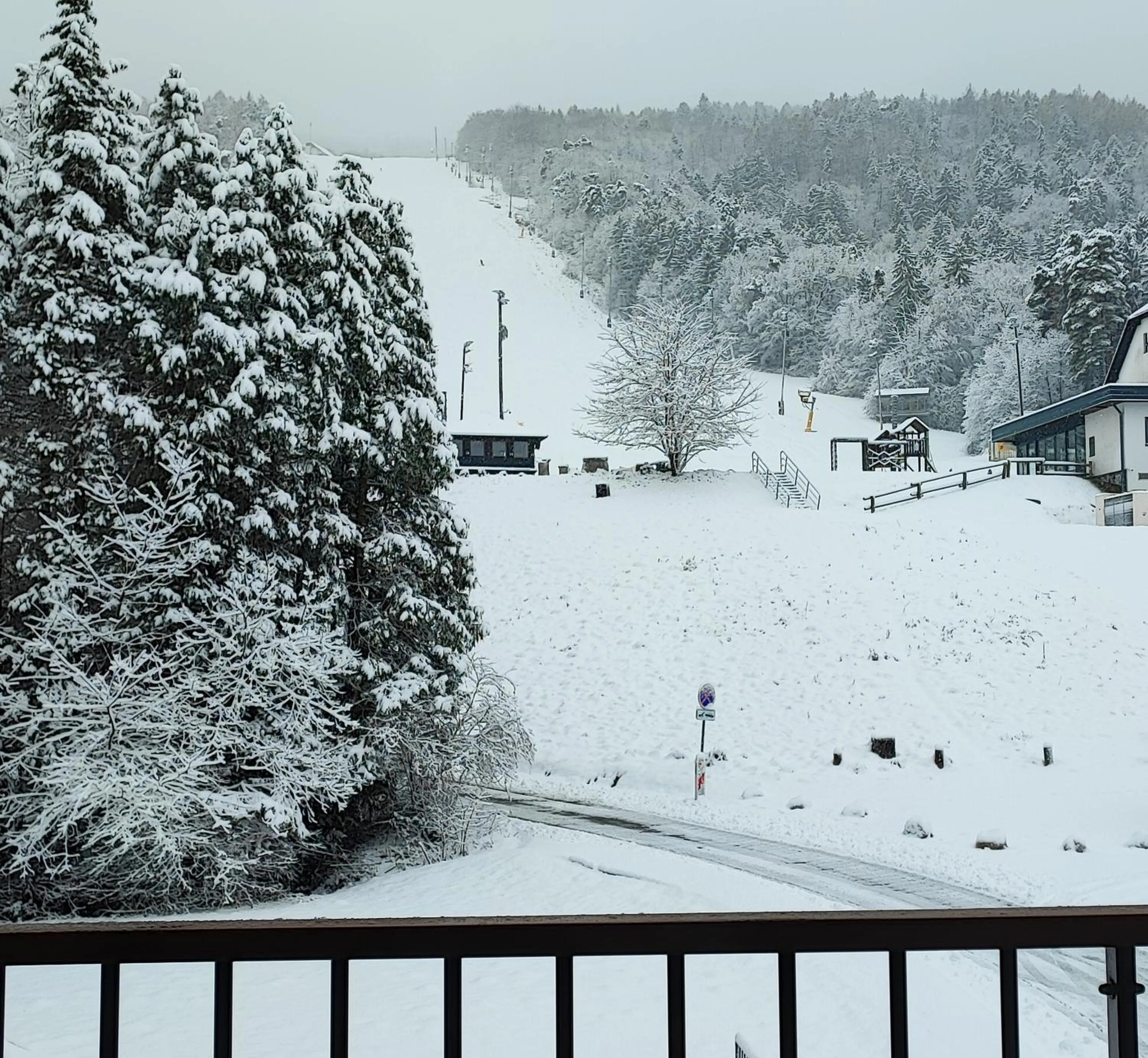 Natural landscape in Villa Mari I
