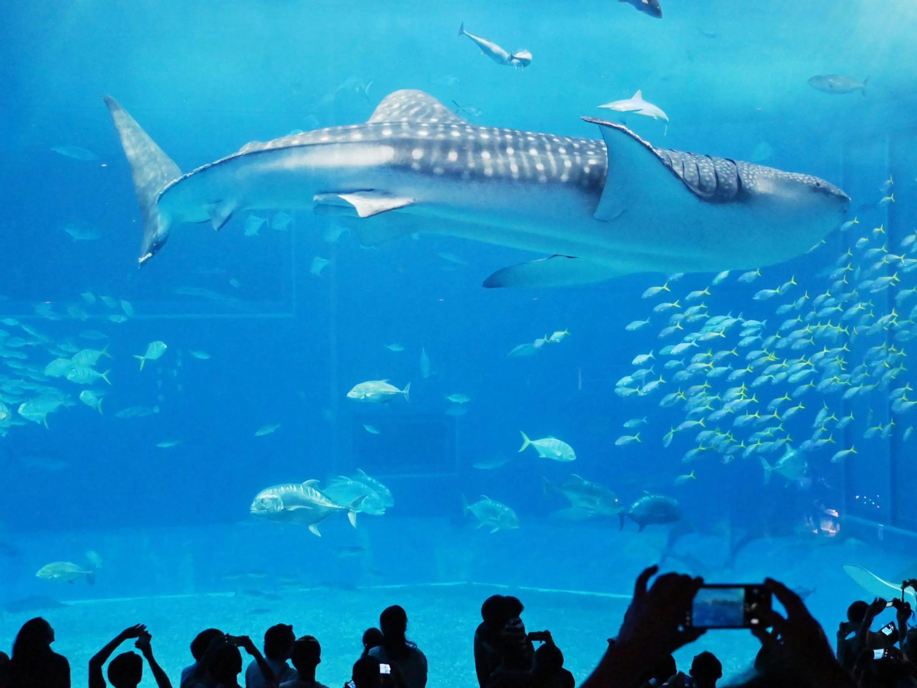 Nearby landmark in ADAN RESORT 風 - Fu -