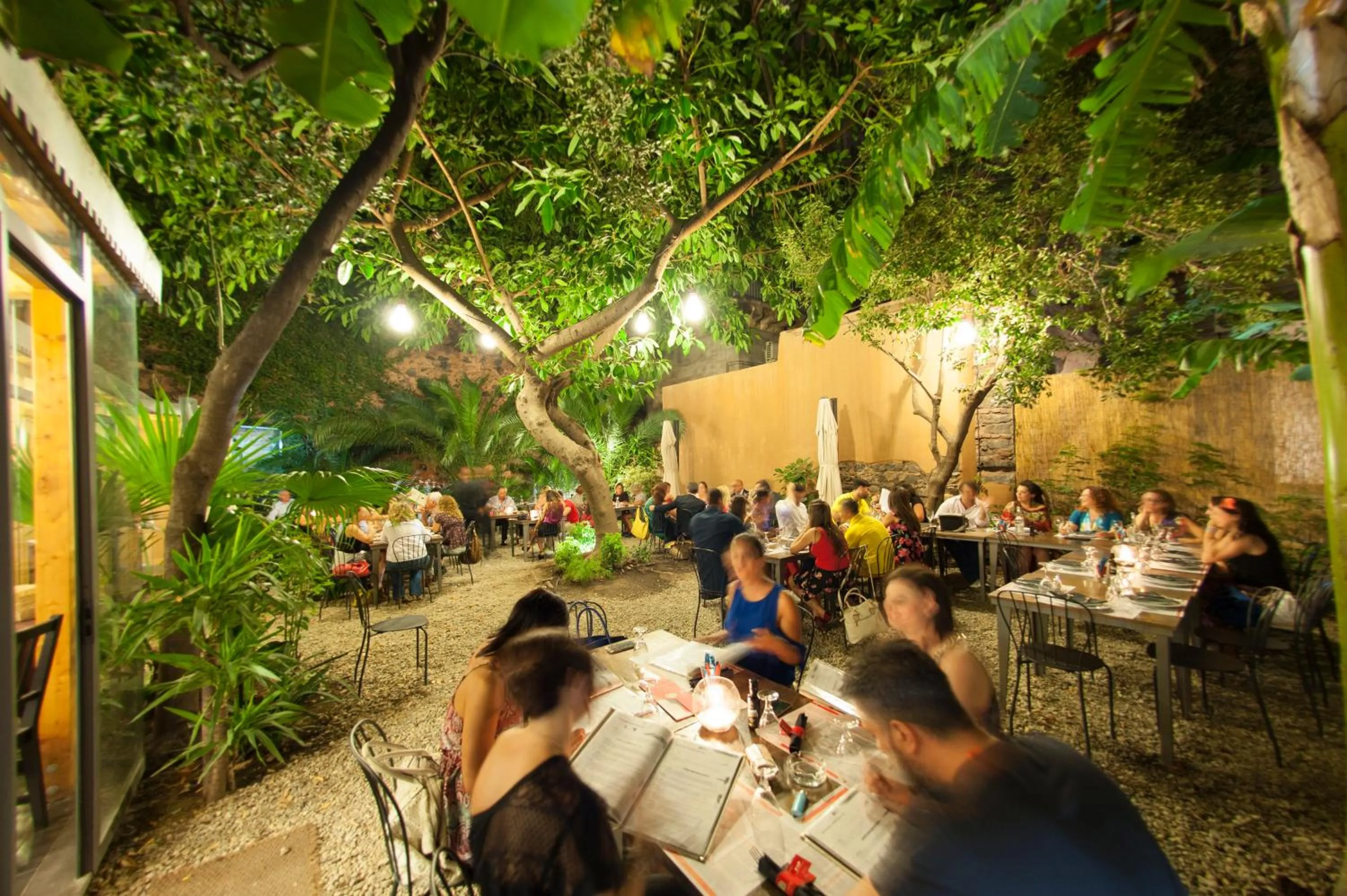 Garden in Corte dei medici - Palace
