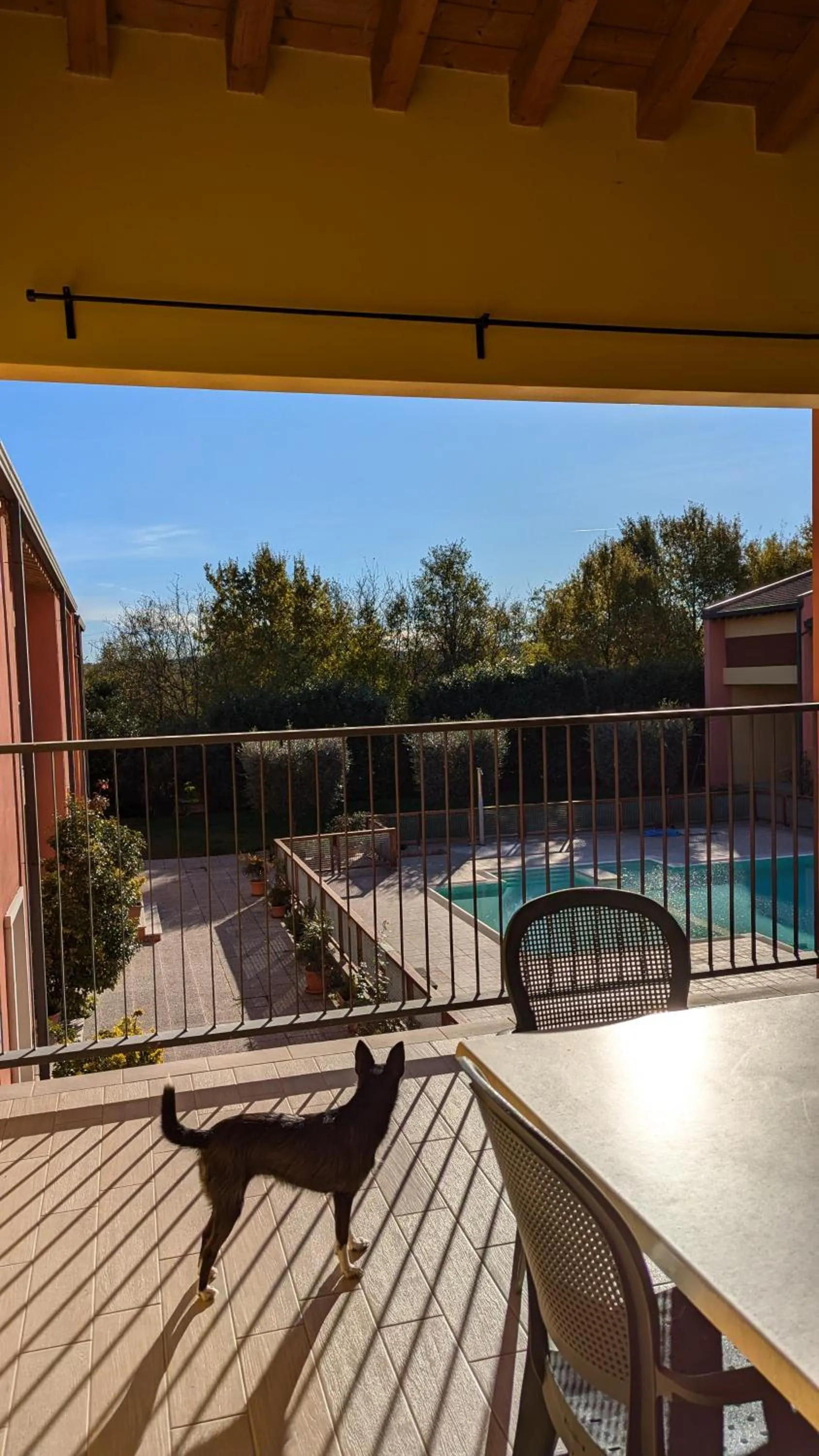 Balcony/Terrace in Agriturismo Ai Tre Fienili