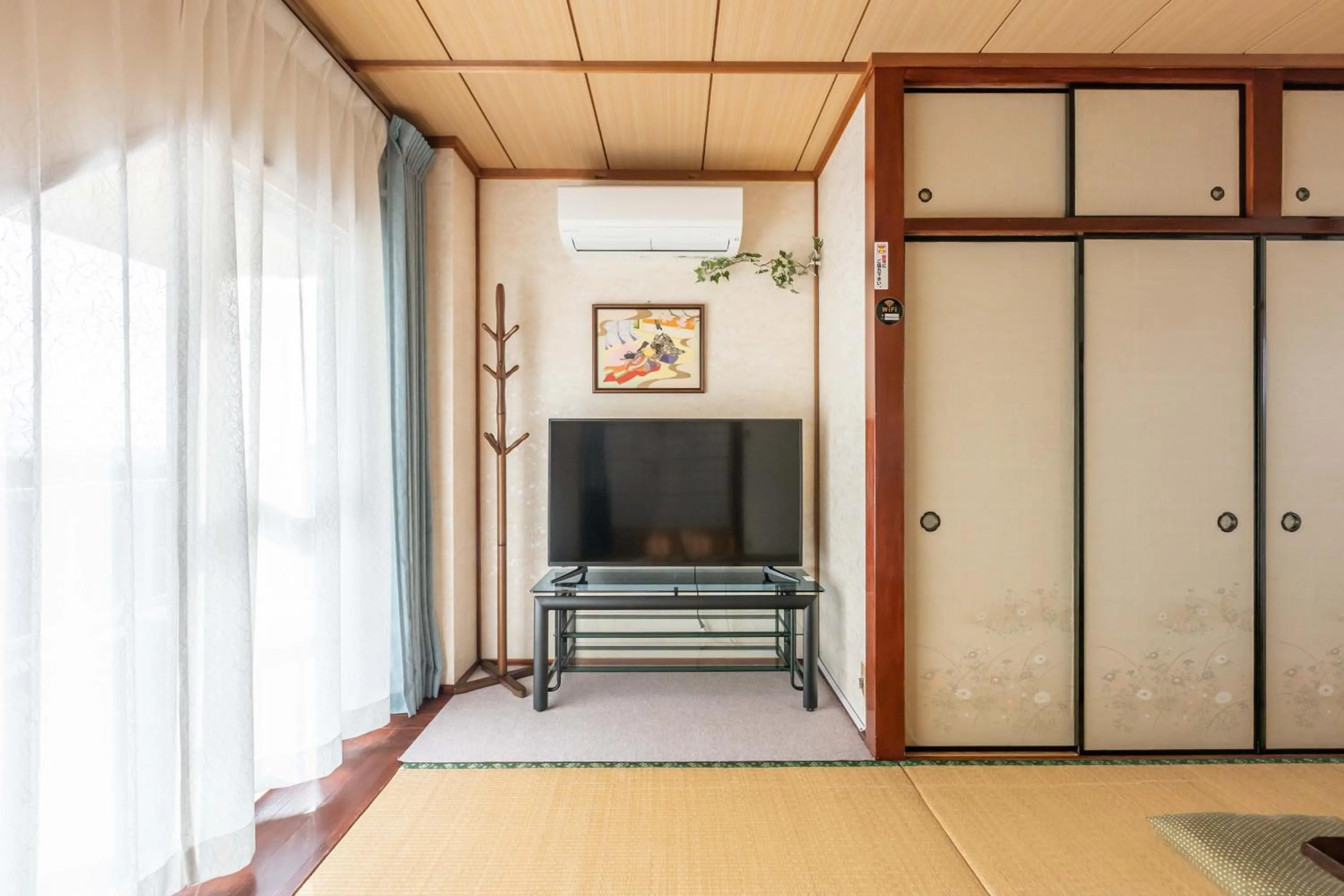 TV and multimedia in Senjoarashi