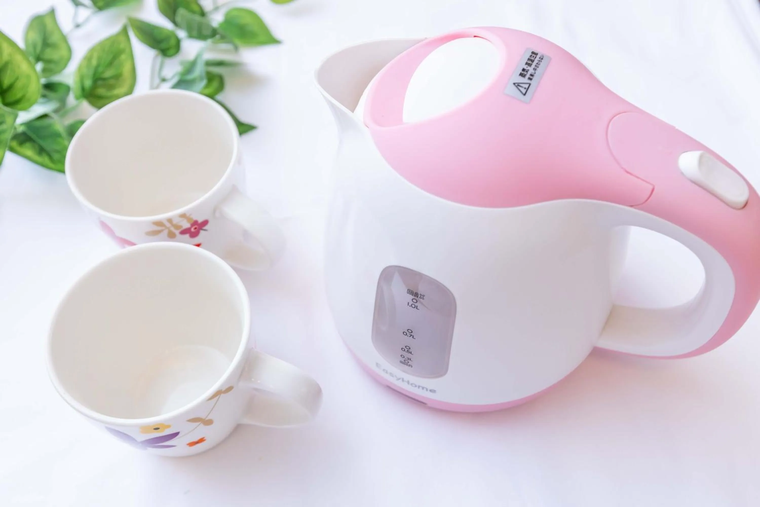 Photo of the whole room in Senjoarashi