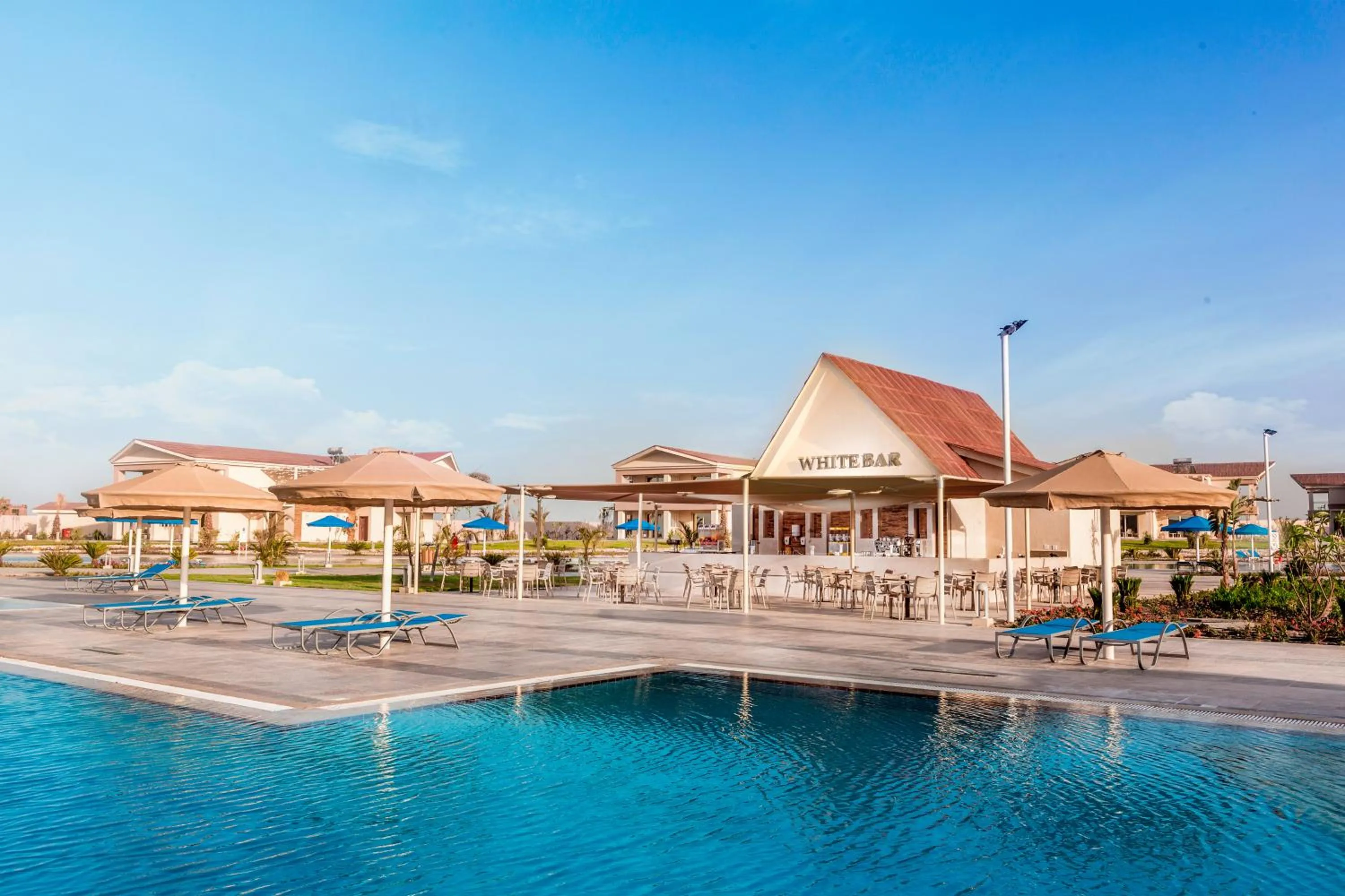 Alcoholic drinks, Swimming Pool in Pickalbatros Sea World Resort - Marsa Alam