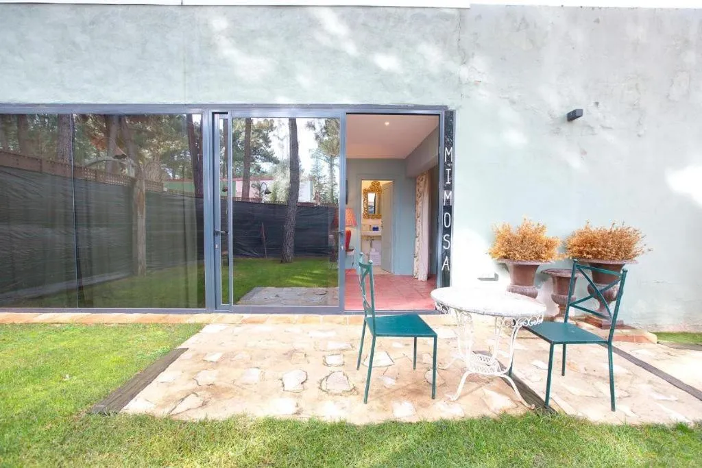 Patio in Hotel Boutique Pinar by Bossh! Hotels