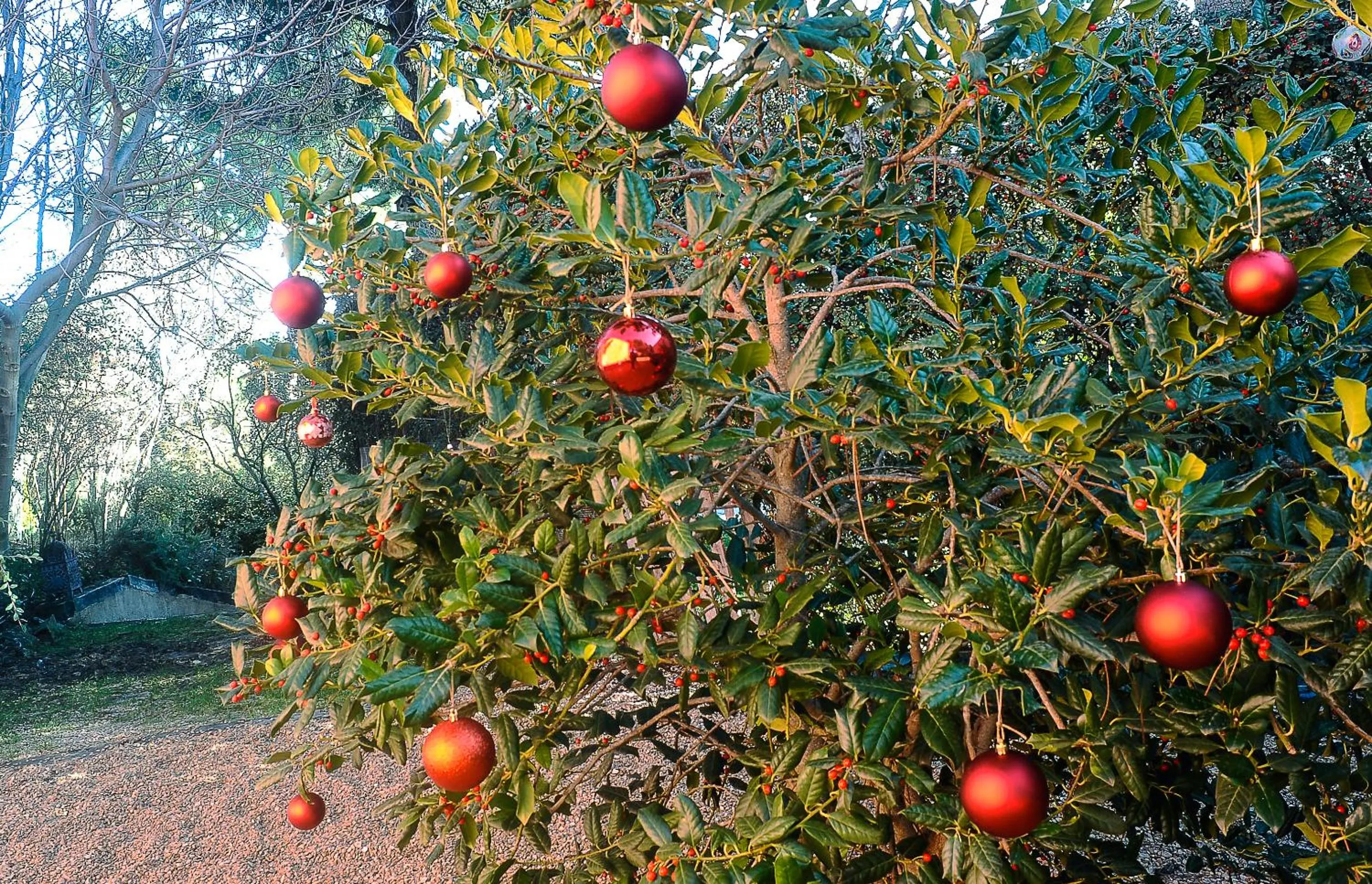 Natural landscape in Hotel Boutique Pinar by Bossh! Hotels