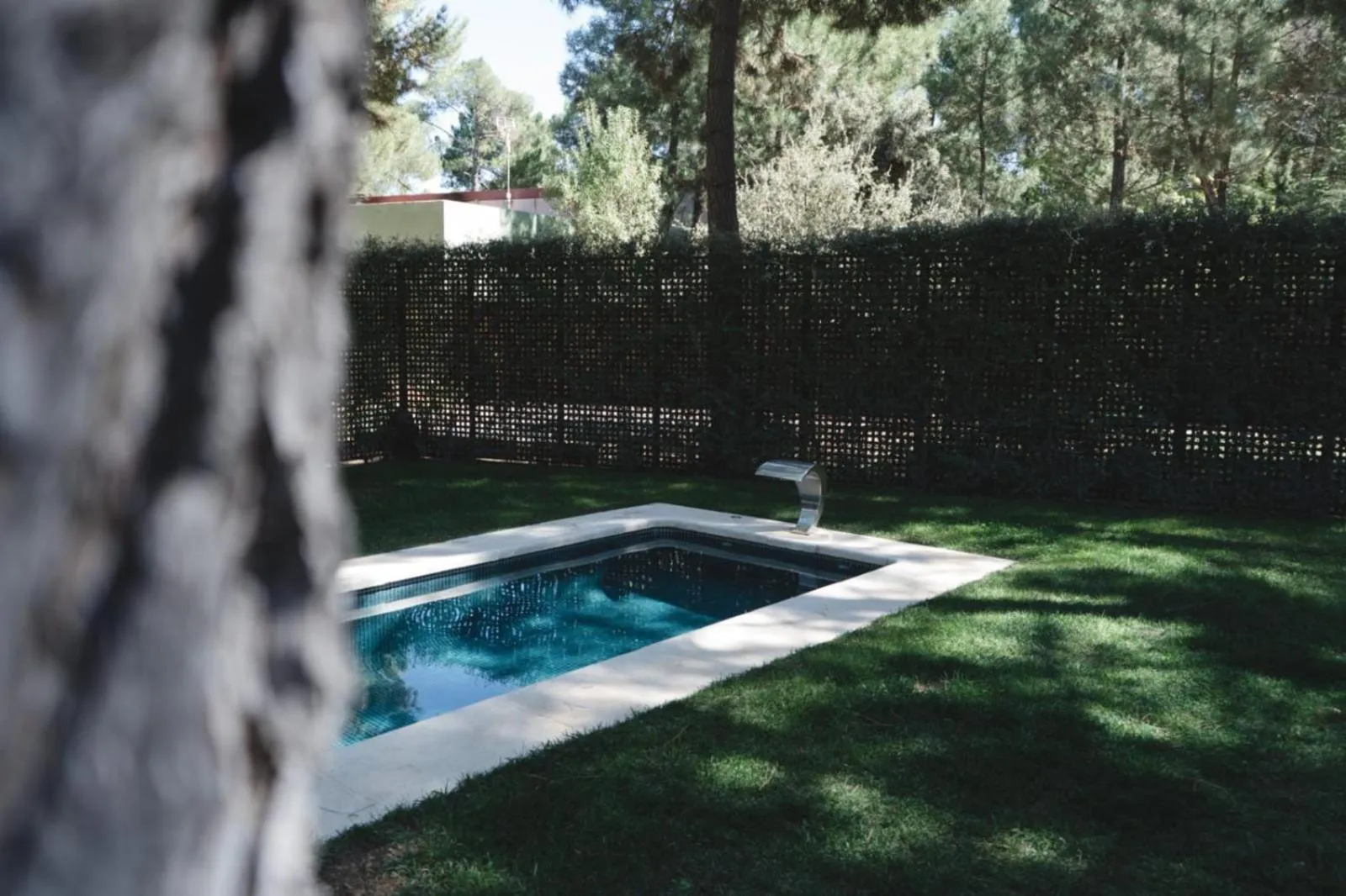 Garden in Hotel Boutique Pinar by Bossh! Hotels