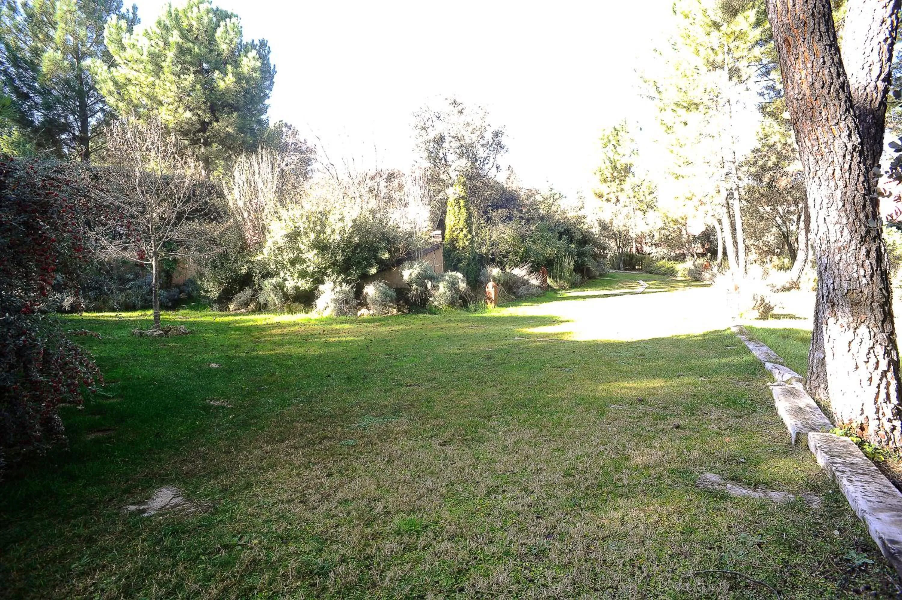 Natural landscape in Hotel Boutique Pinar by Bossh! Hotels