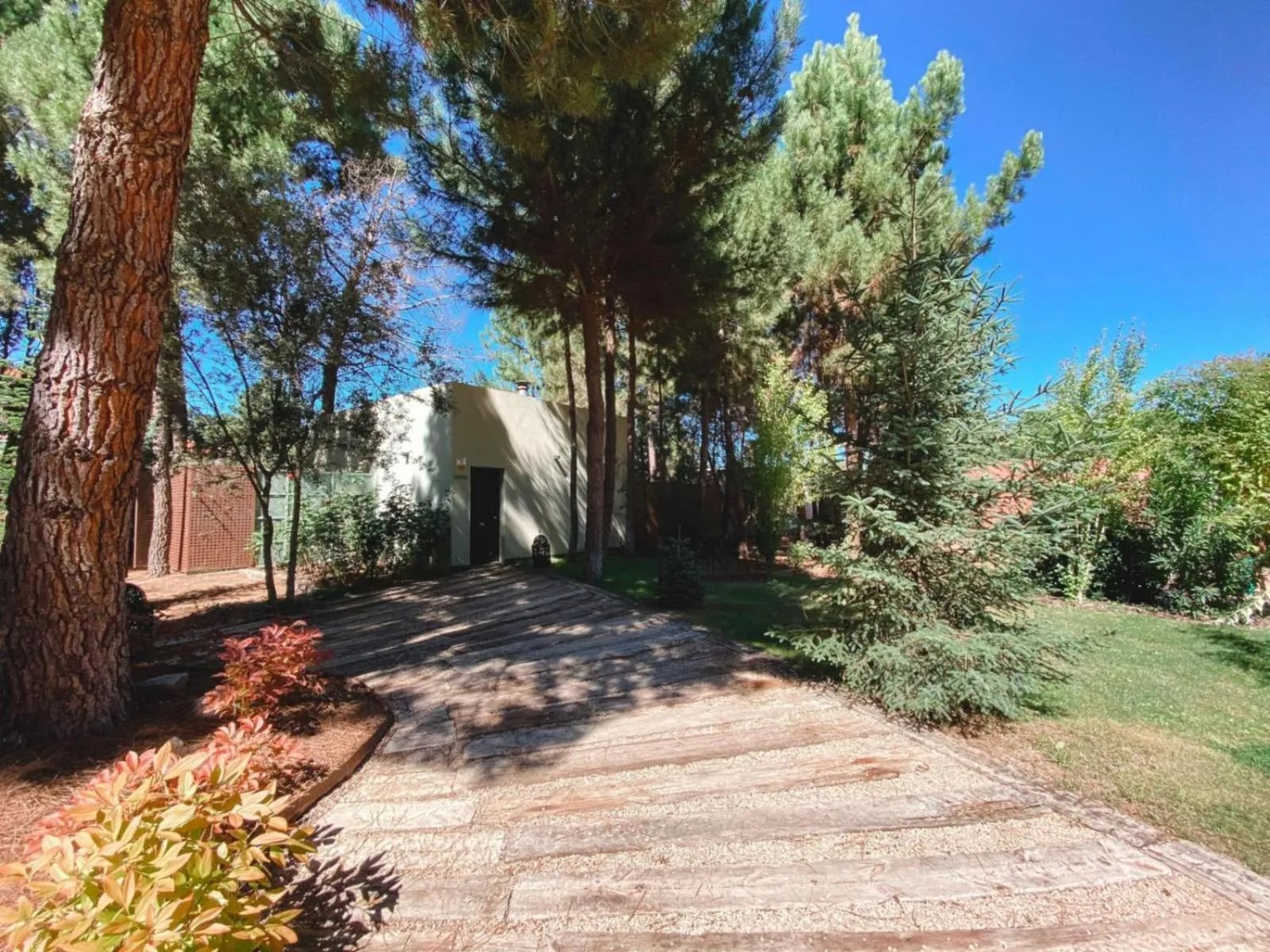 Garden in Hotel Boutique Pinar by Bossh! Hotels