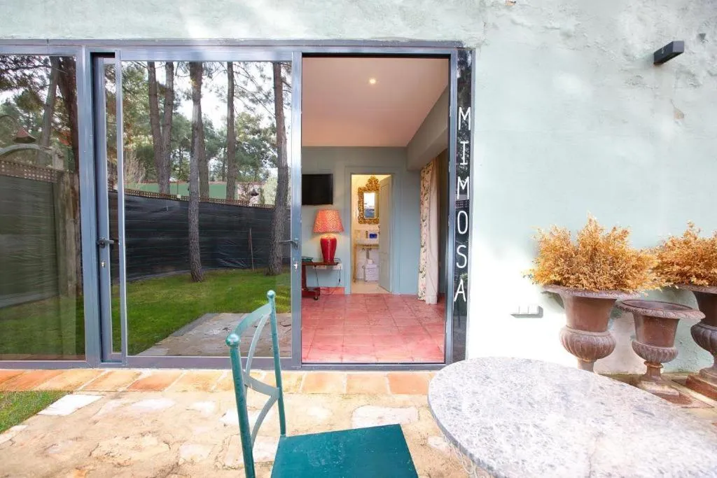 Patio in Hotel Boutique Pinar by Bossh! Hotels