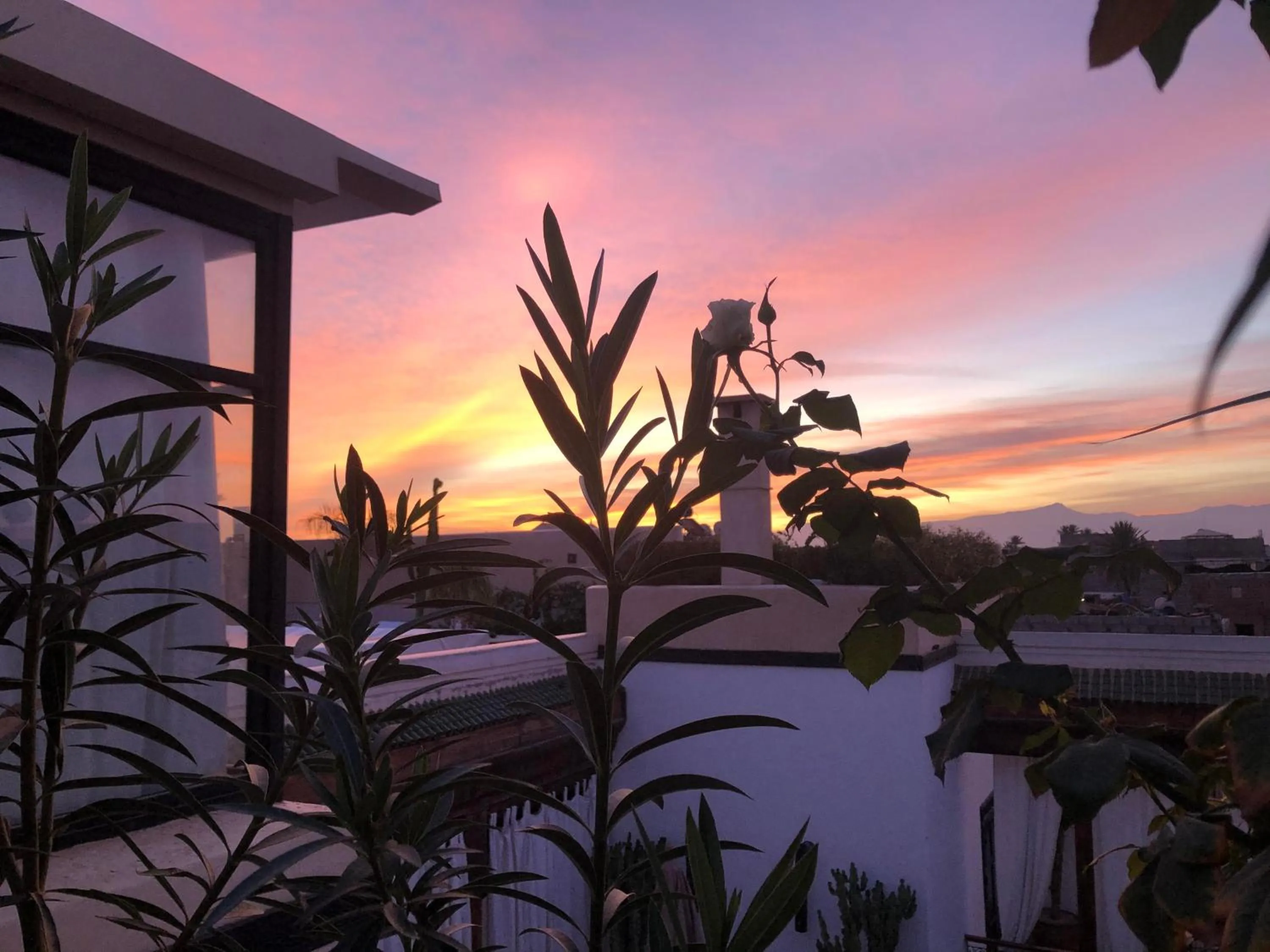 Patio in Riad Bellamane Marrakech