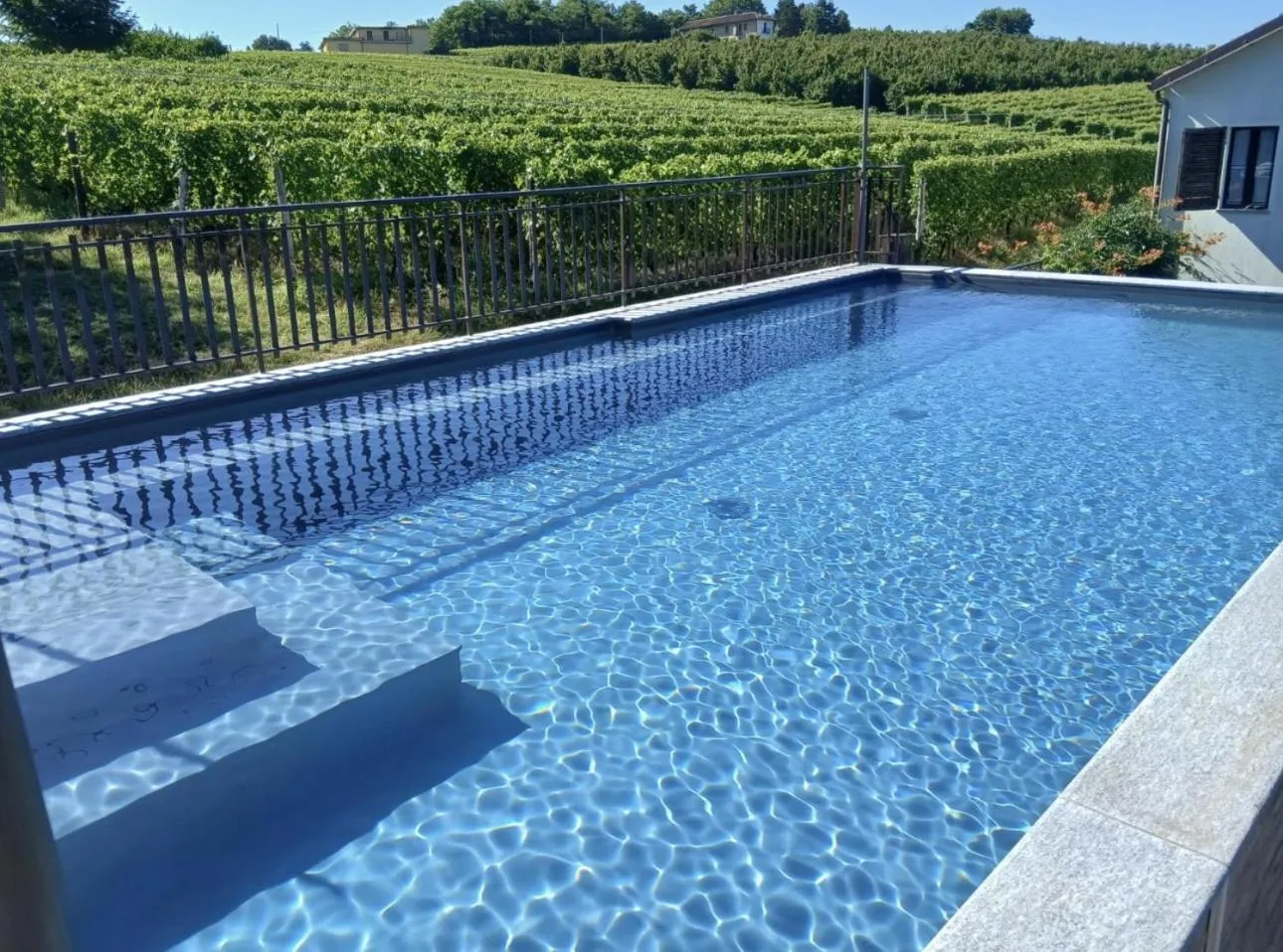 Swimming pool in Tra... Monti E Vigne