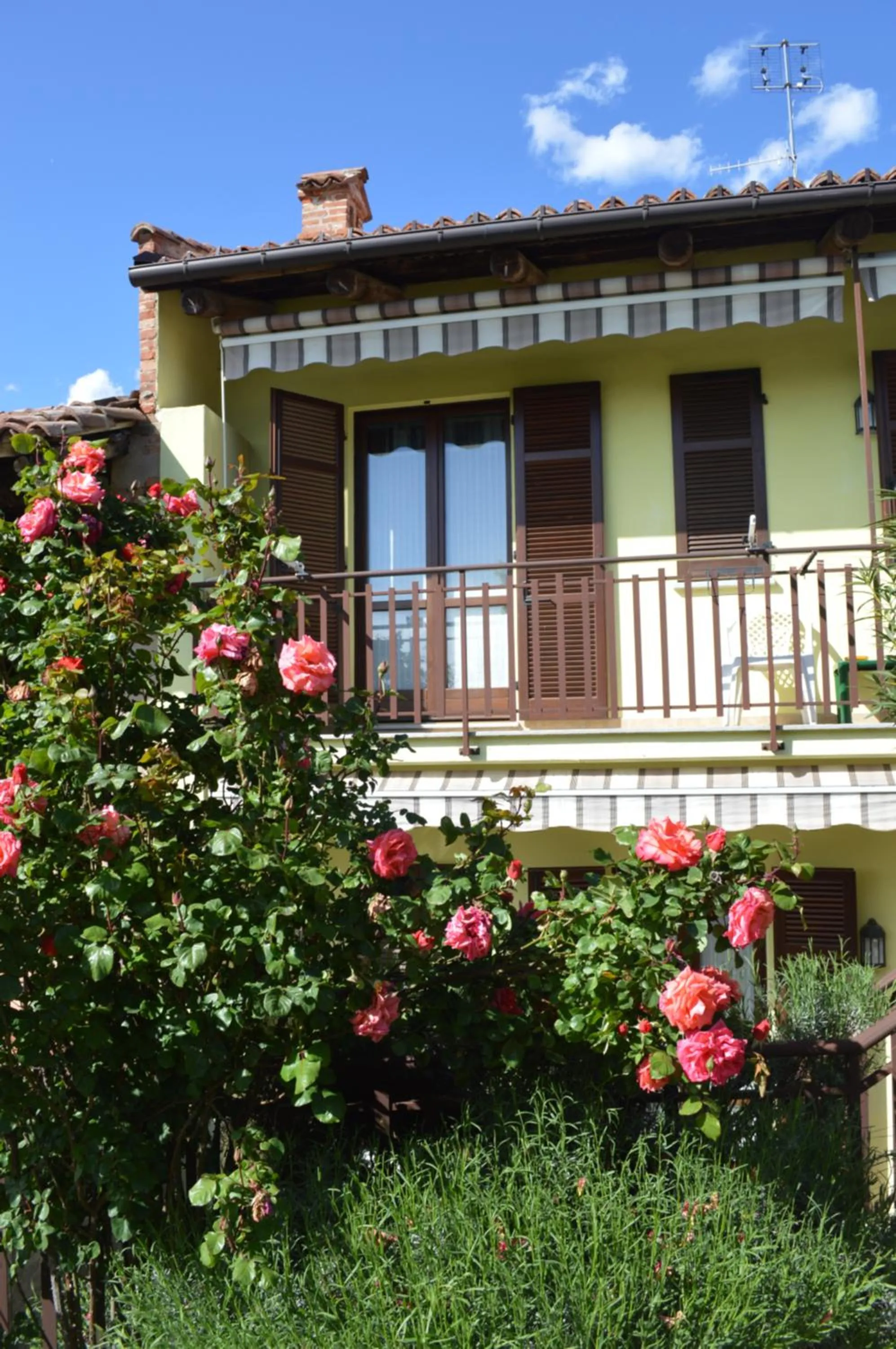 Tra... Monti E Vigne