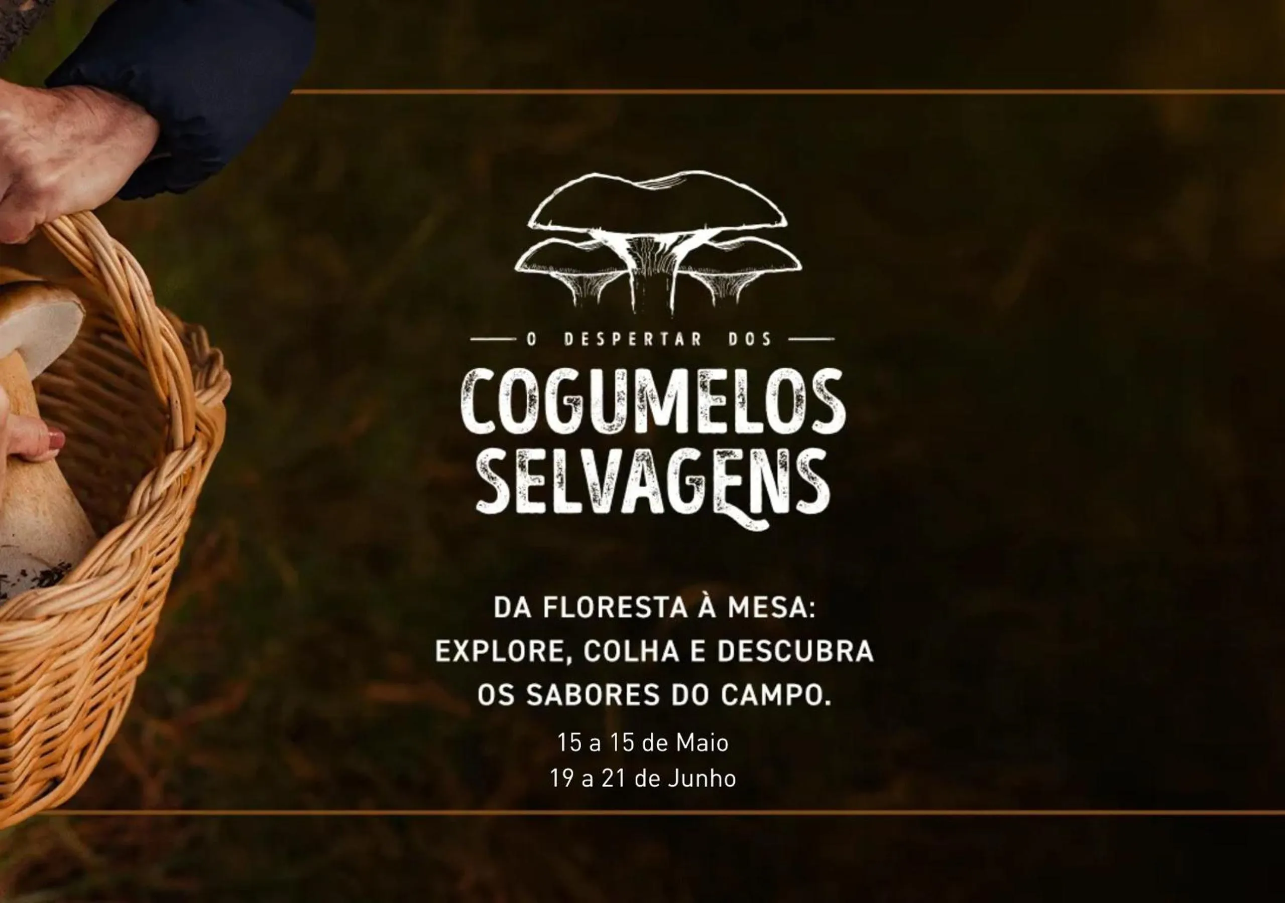 Banquet/Function facilities in Parador Cambará do Sul