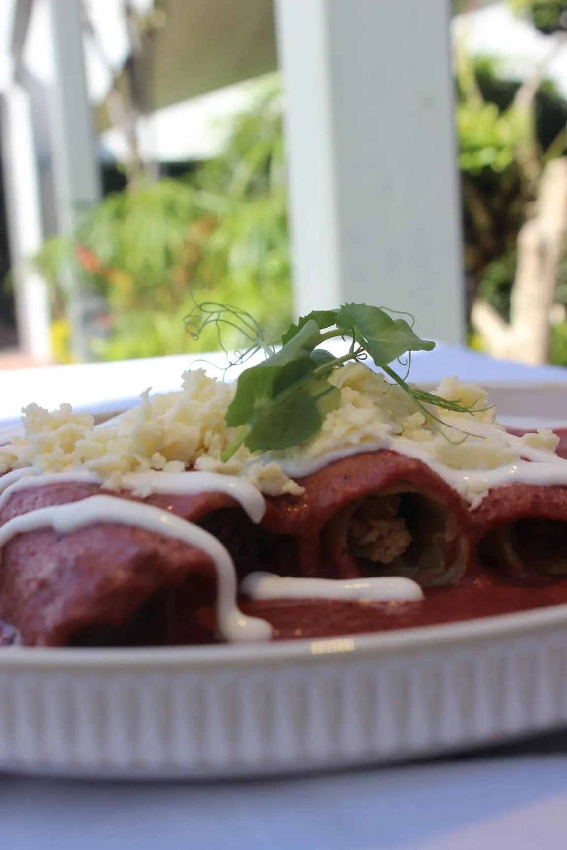 Restaurant/places to eat in Cantera 10 Hotel Boutique