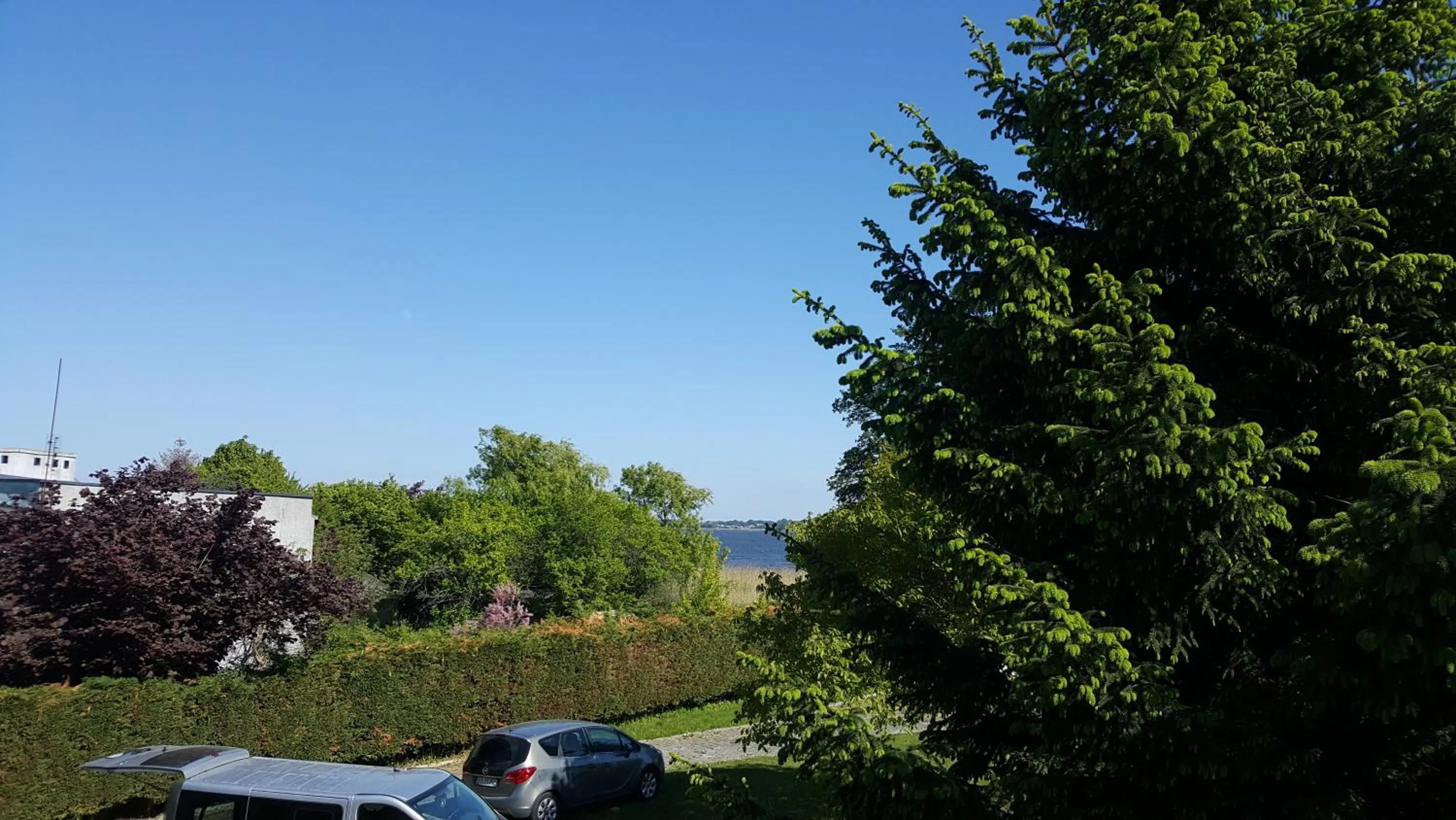 Spring in Dom JOANNA