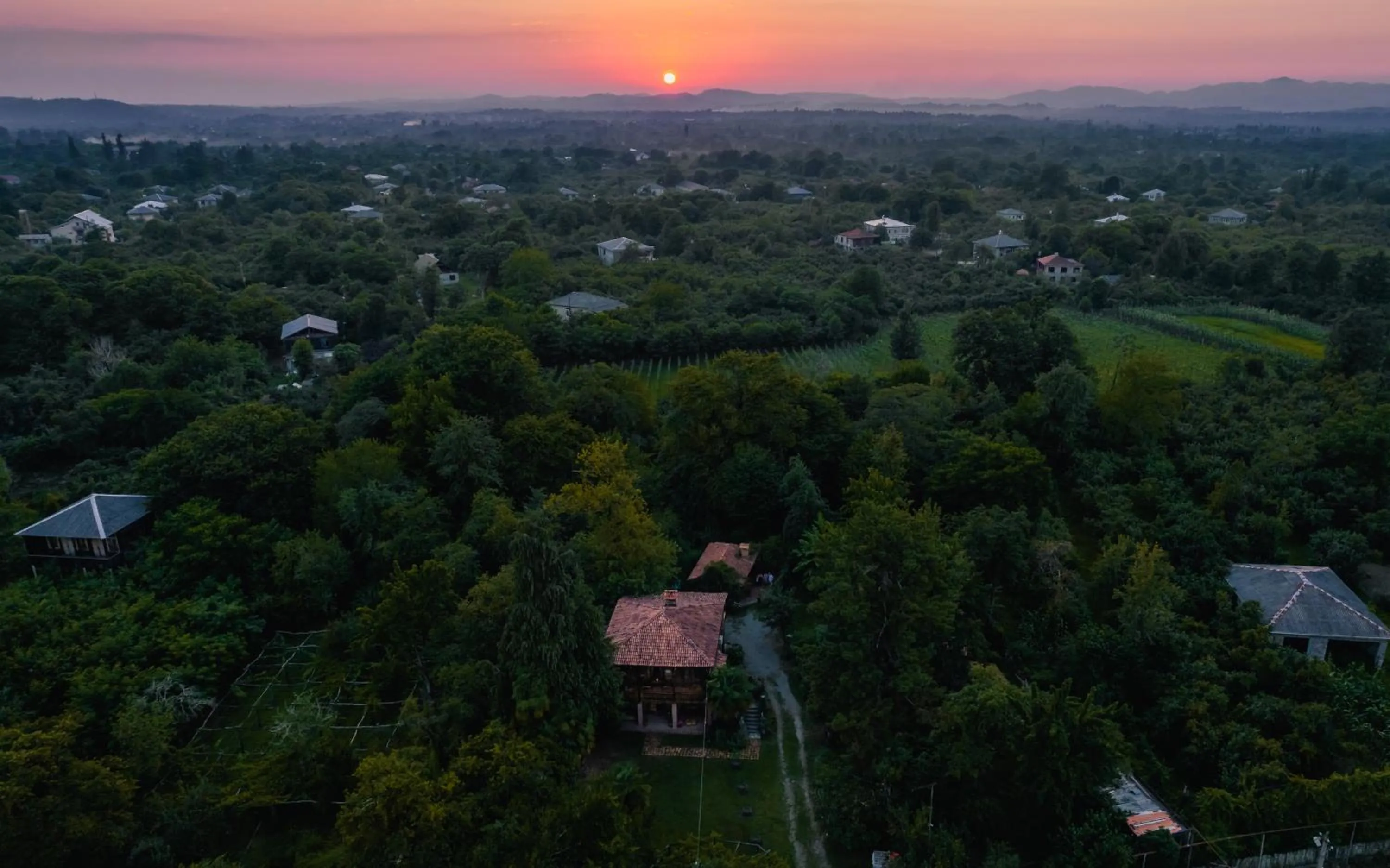 Bird's eye view in Menabde Winery