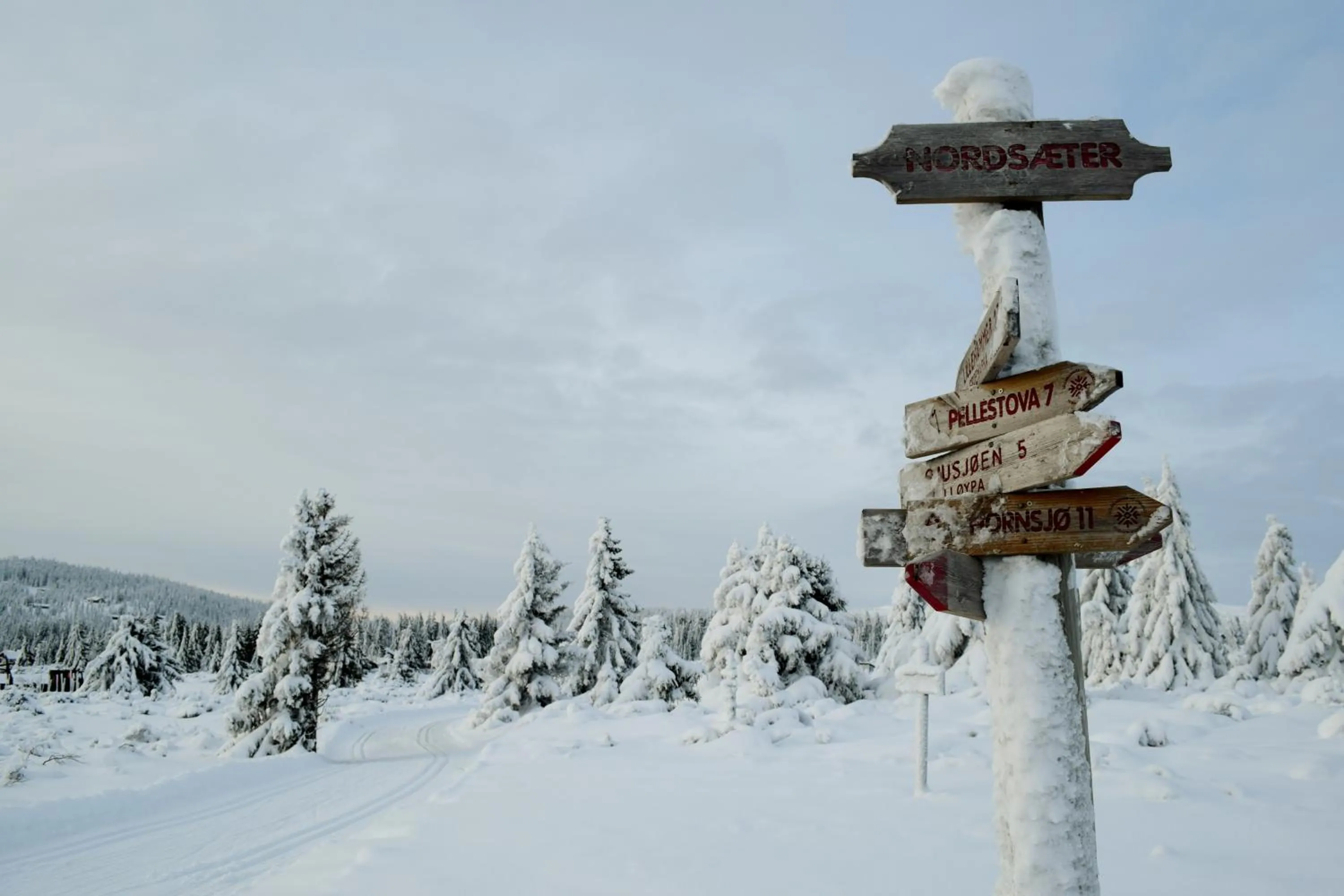 Logo/Certificate/Sign in Nordseter Hytter