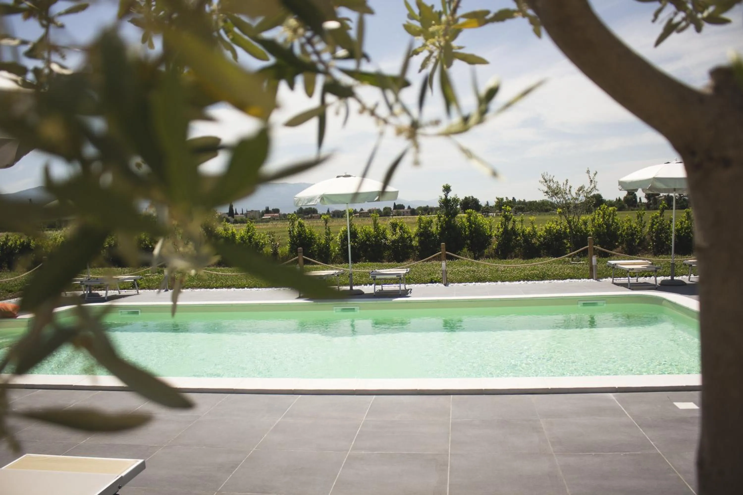 Pool view in Residence Terra Dei Santi Country House
