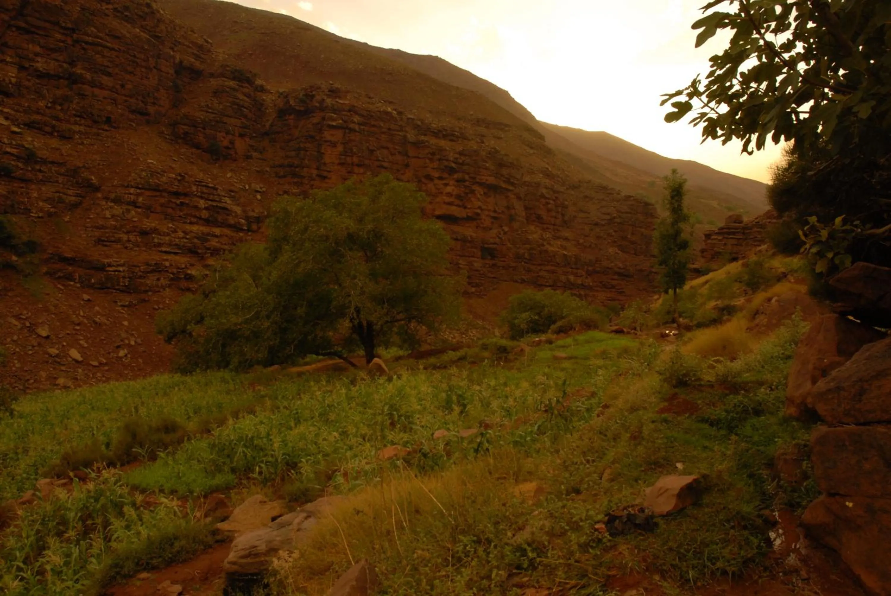 Other in Riad Lorsya