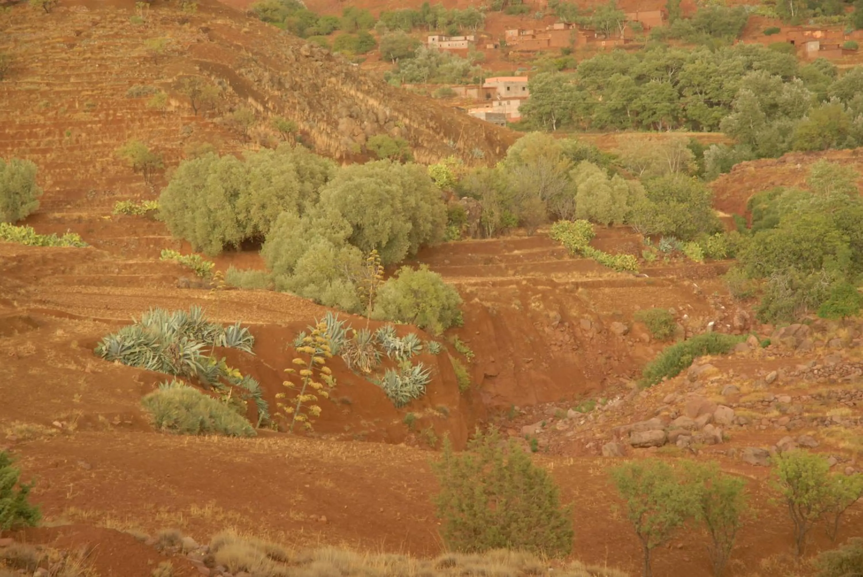 Other in Riad Lorsya