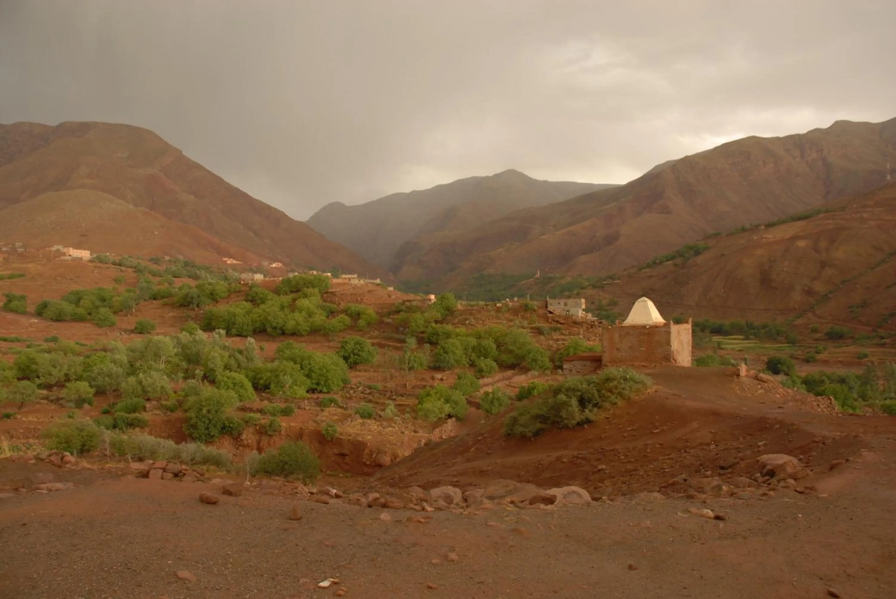 Activities in Riad Lorsya