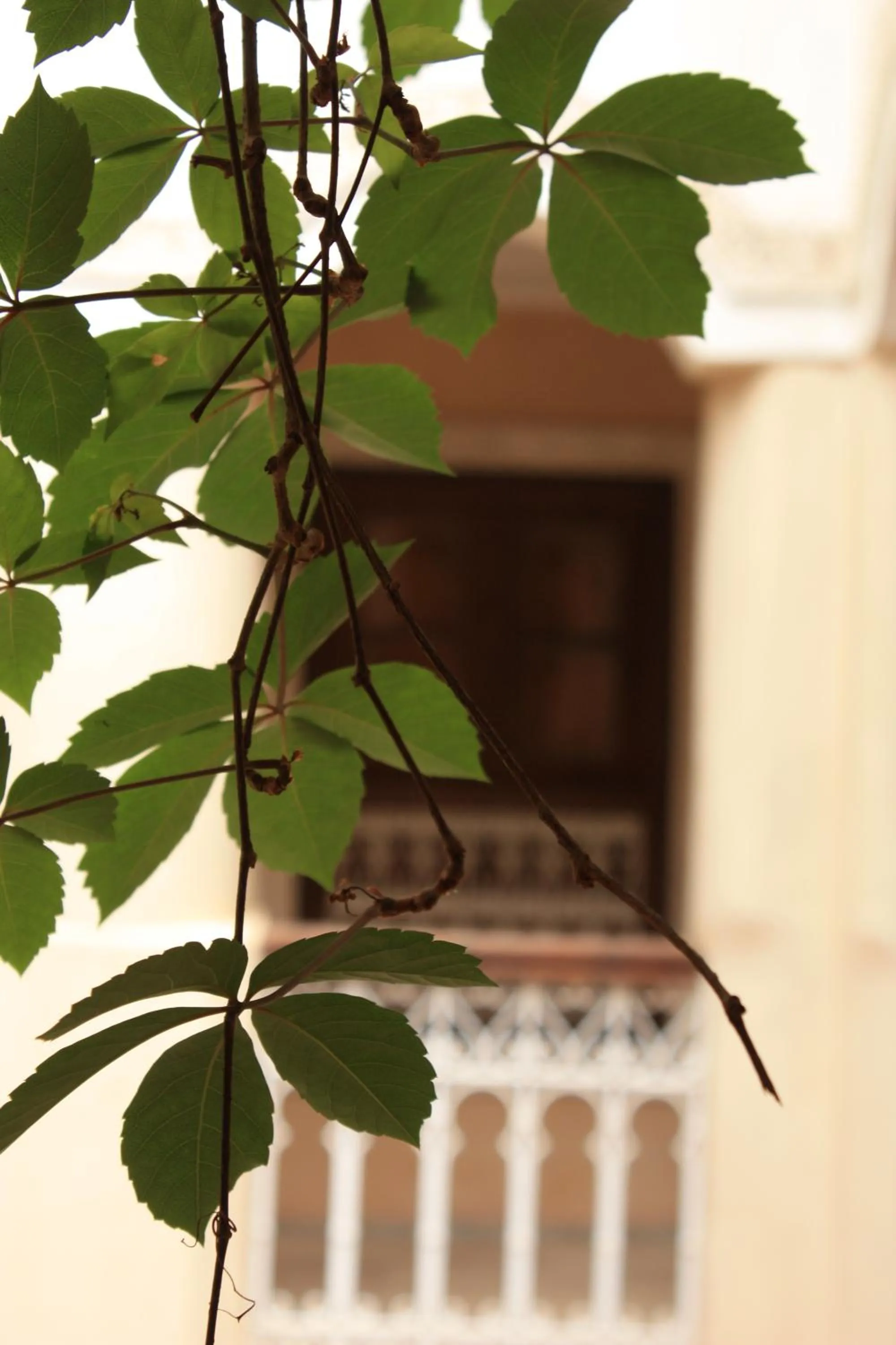 Facade/entrance in Riad Lorsya