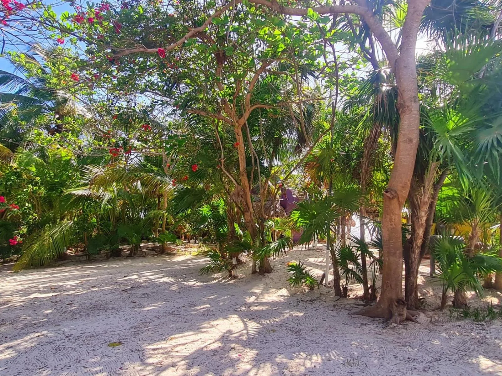 Garden in Hotel Maya Luna Adults Only