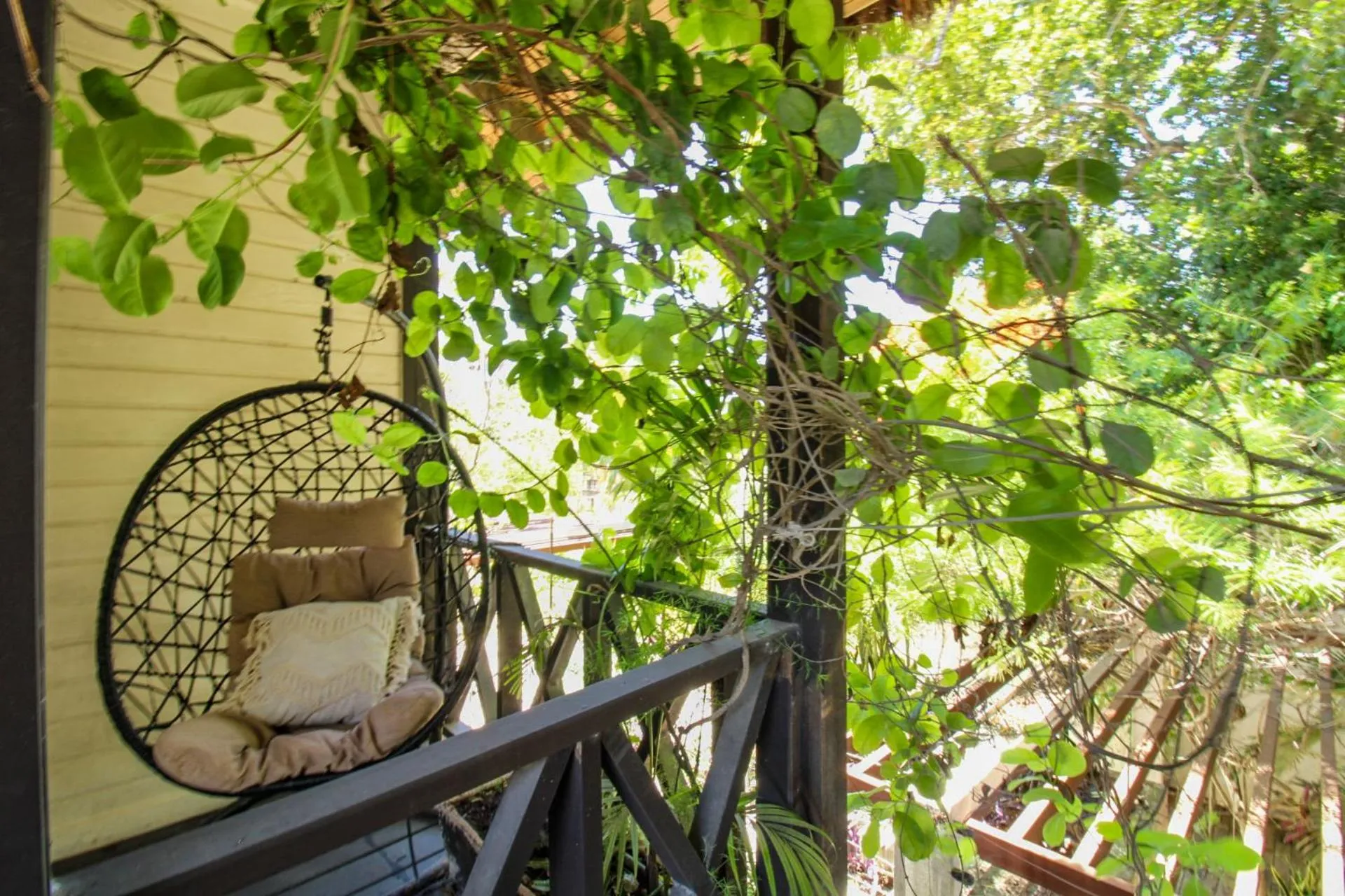 Day in Alicat Villas