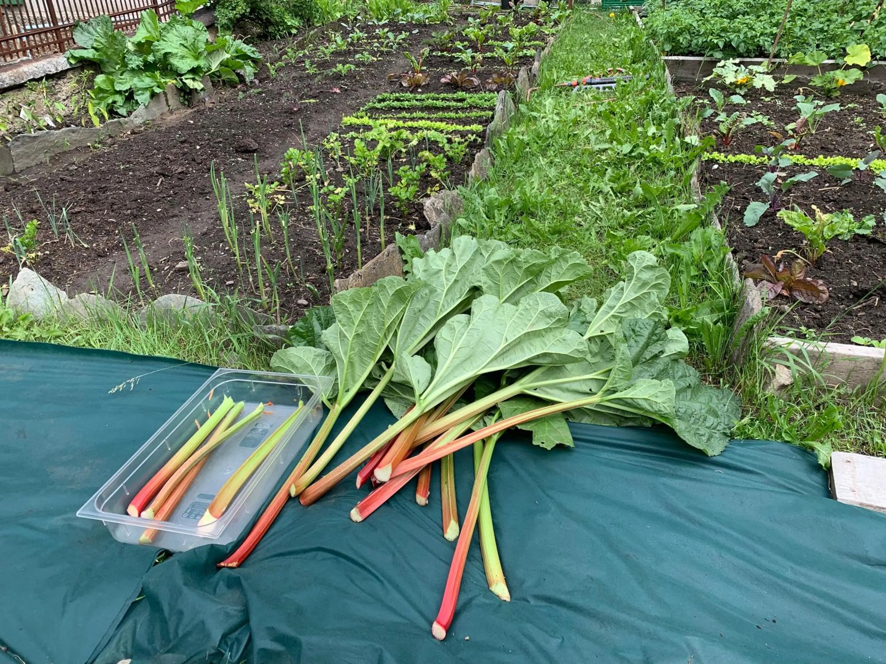 Bed&Bike Tremola San Gottardo
