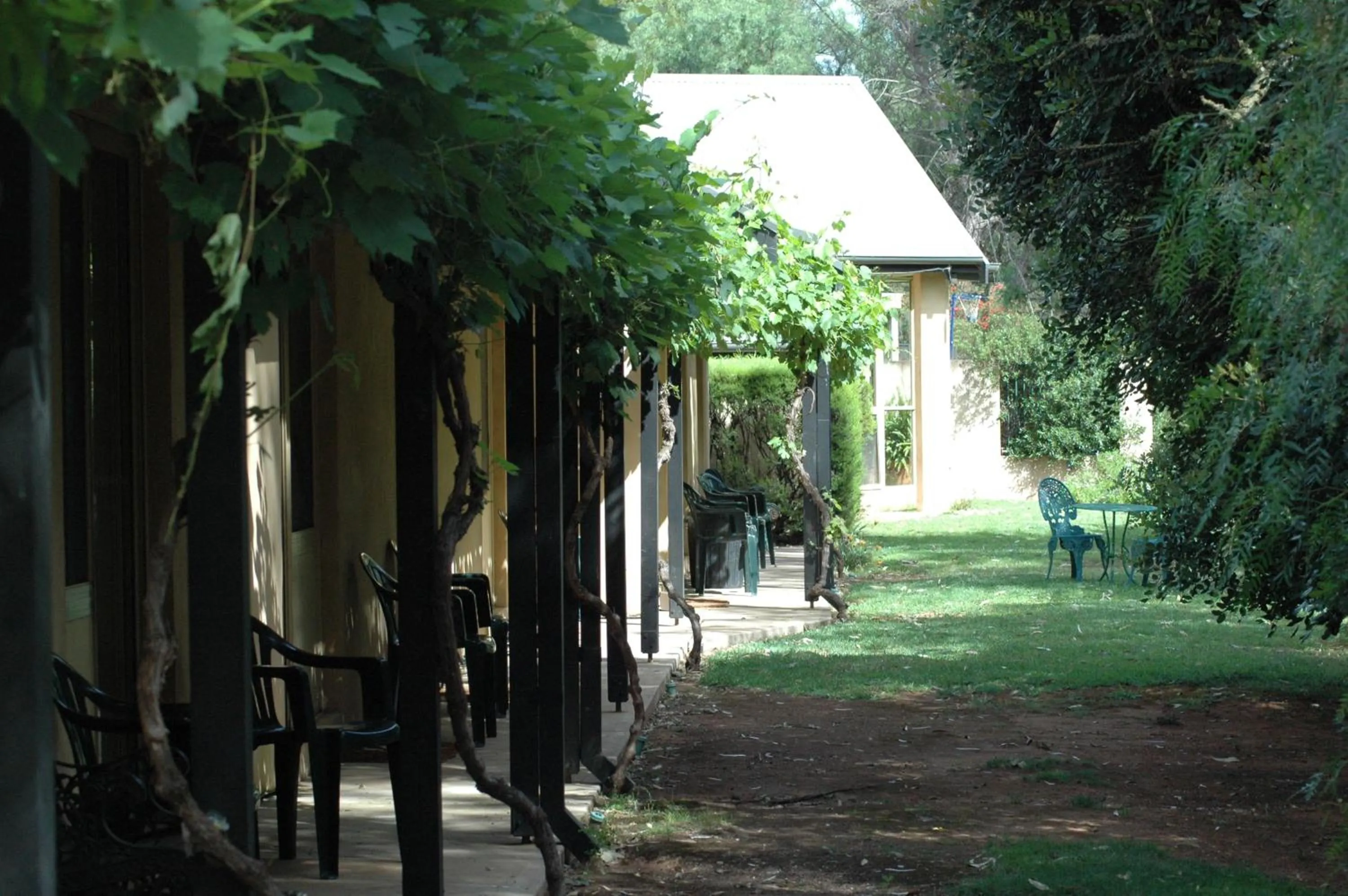Garden in Burra Motor Inn