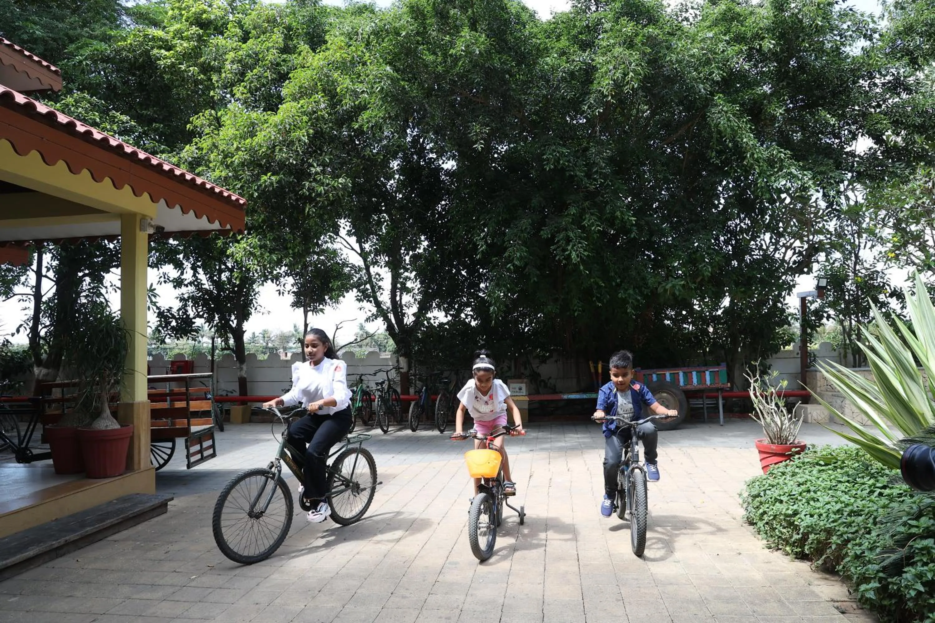 Activities in The Fern Gir Forest Resort, Sasan Gir - A Fern Crown Collection Resort