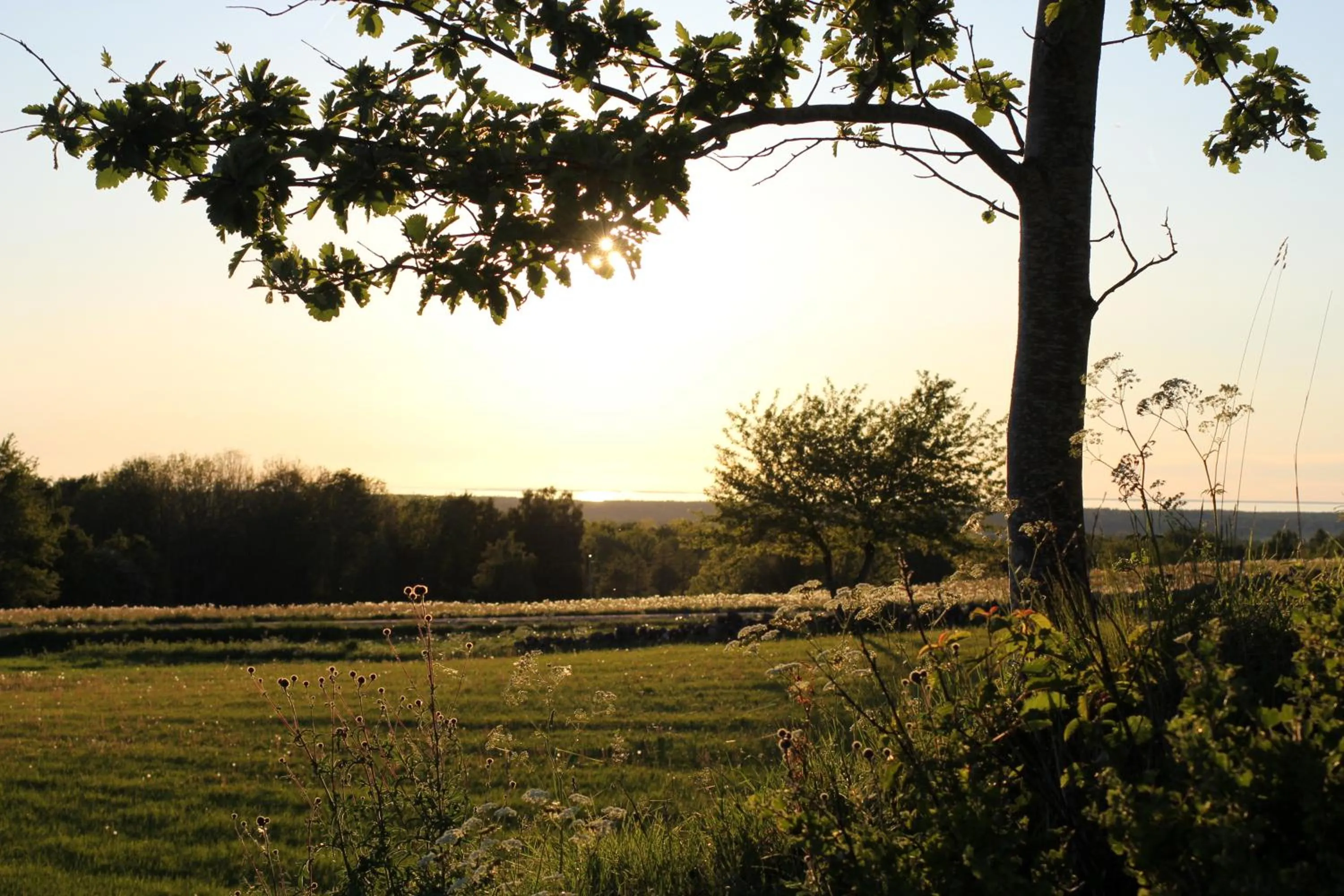 View (from property/room) in Lugnåsberget Ekohotell