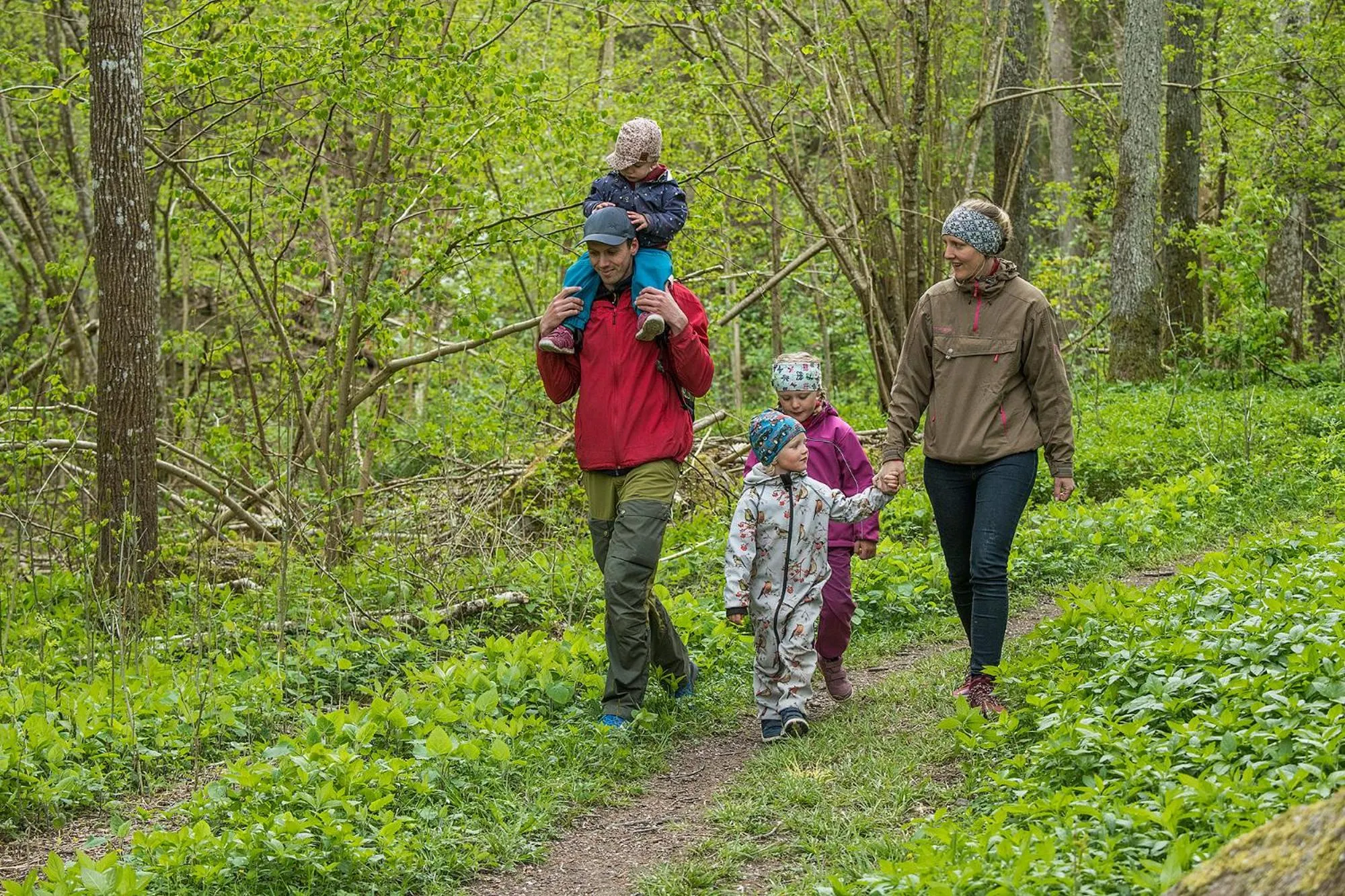 Hiking in Lugnåsberget Ekohotell