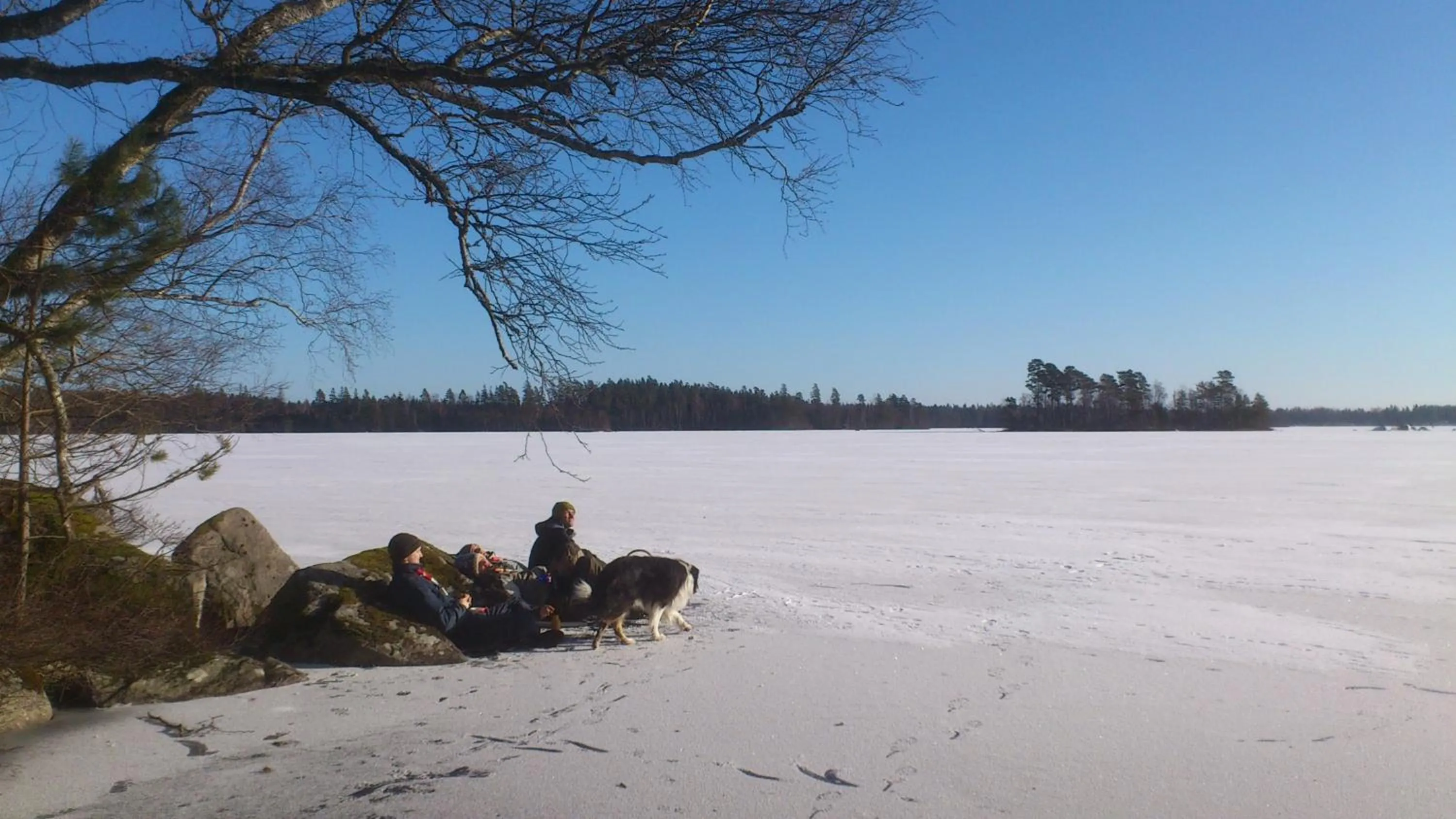 Pets in Lugnåsberget Ekohotell