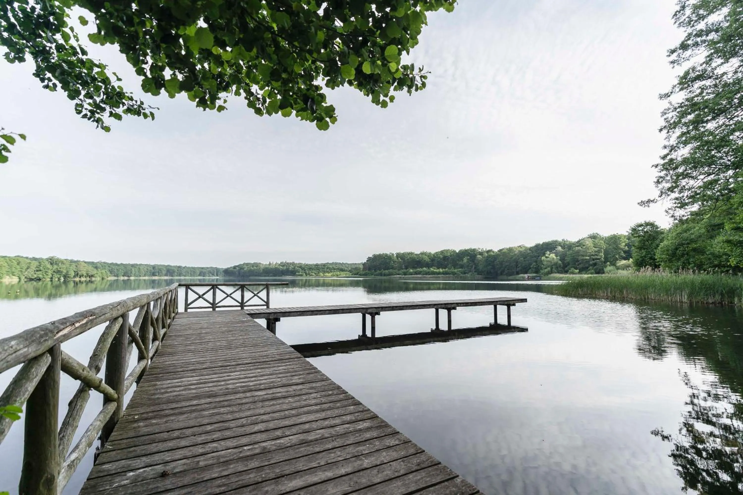Natural landscape in Hotel Markgraf