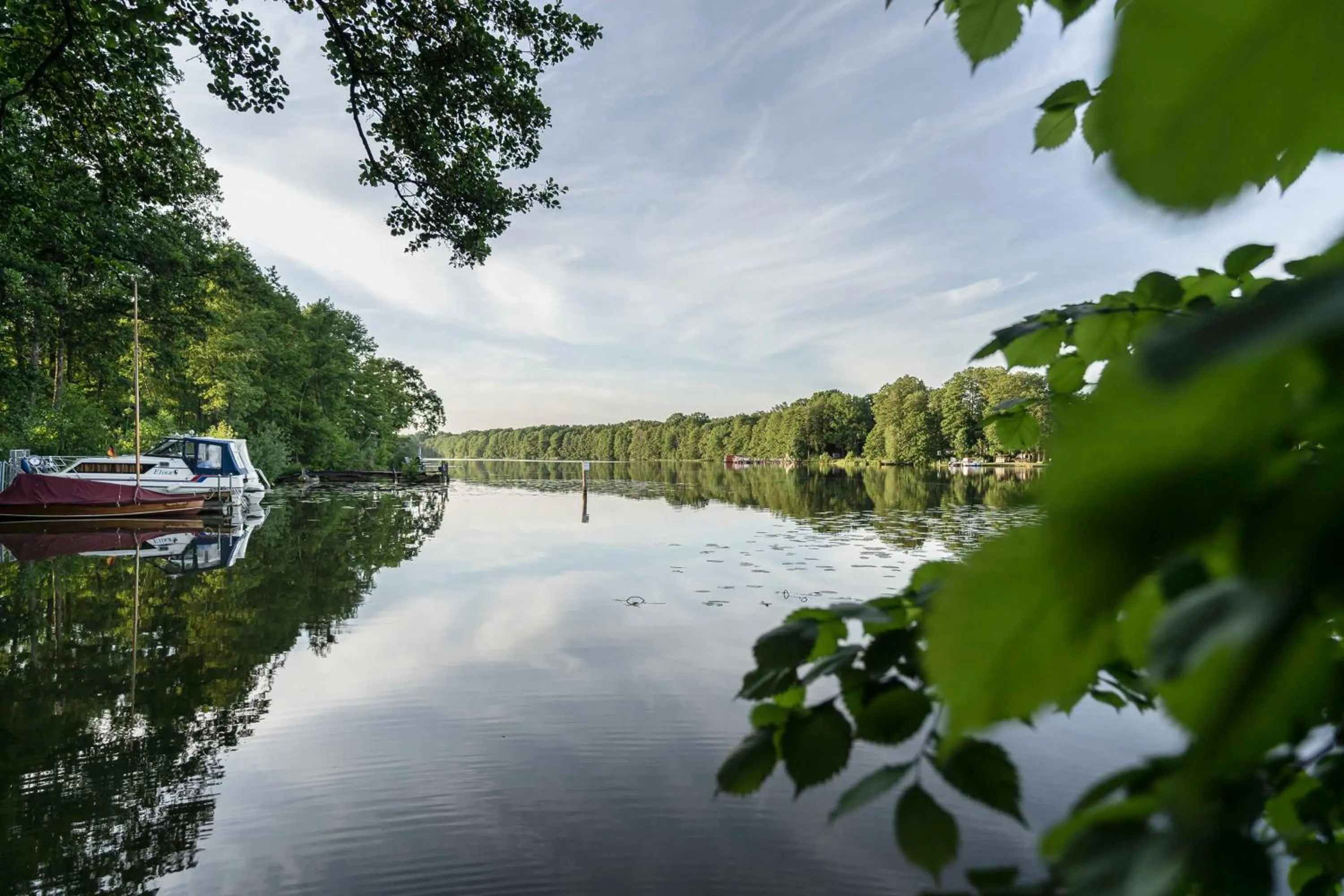 Natural landscape in Hotel Markgraf