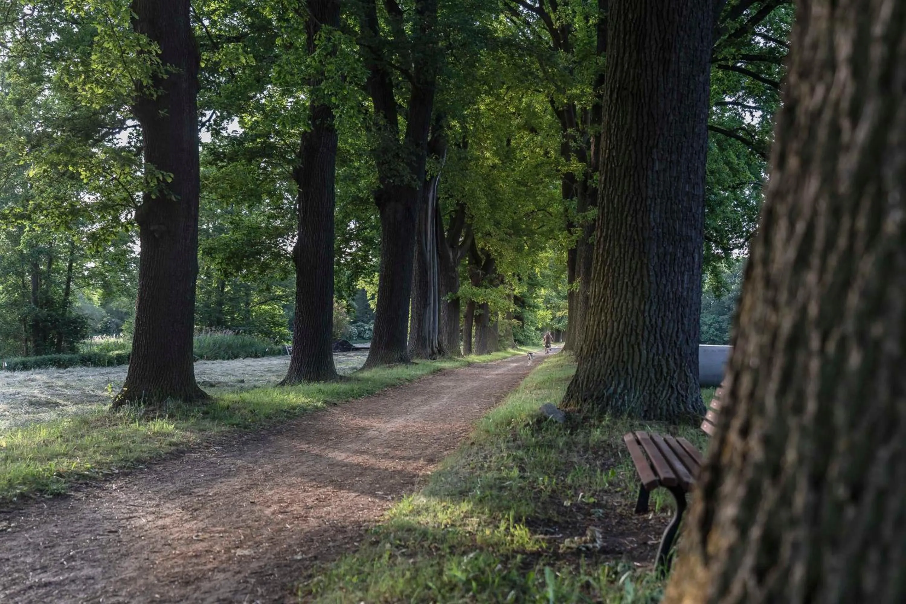 Natural landscape in Hotel Markgraf