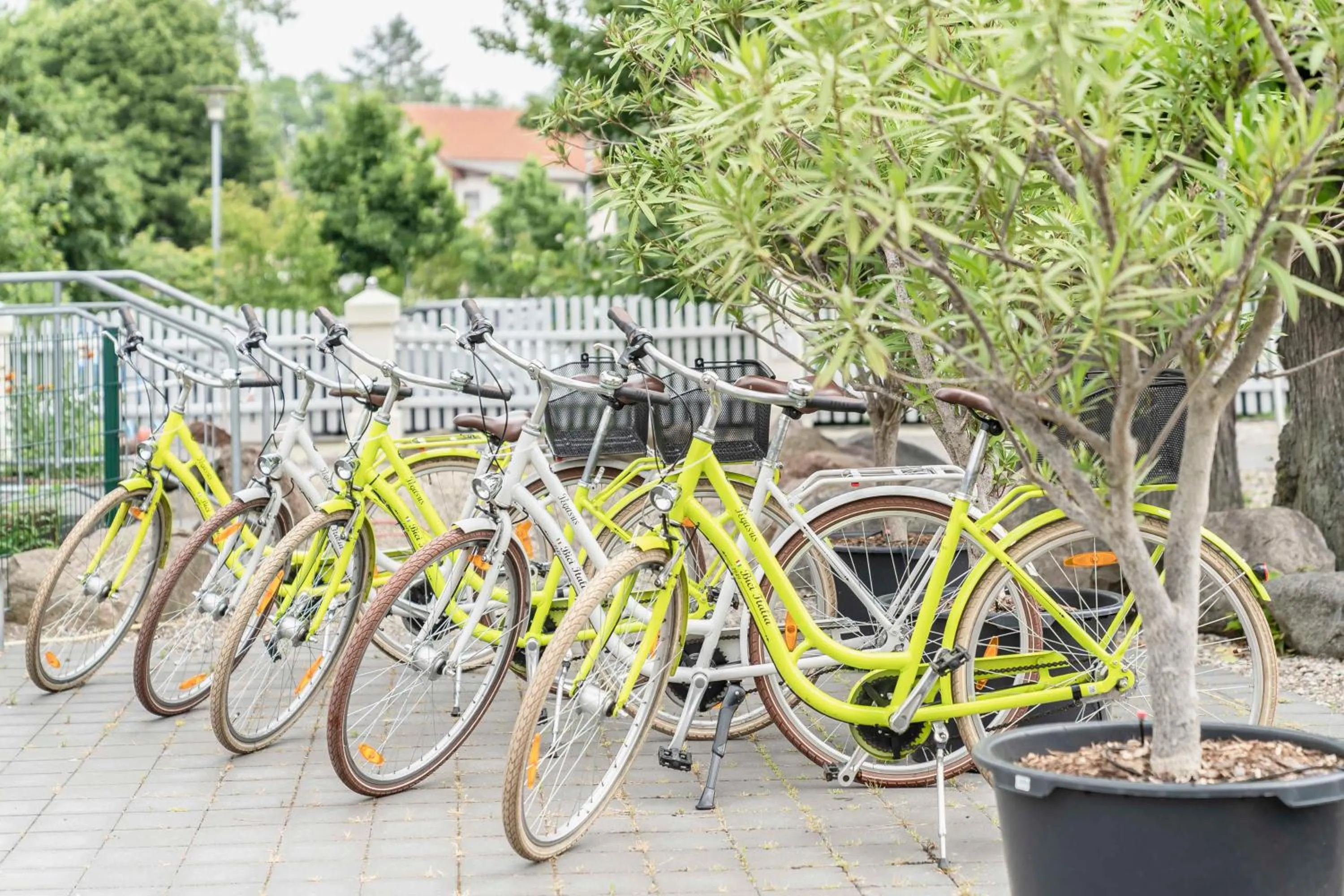 Cycling in Hotel Markgraf