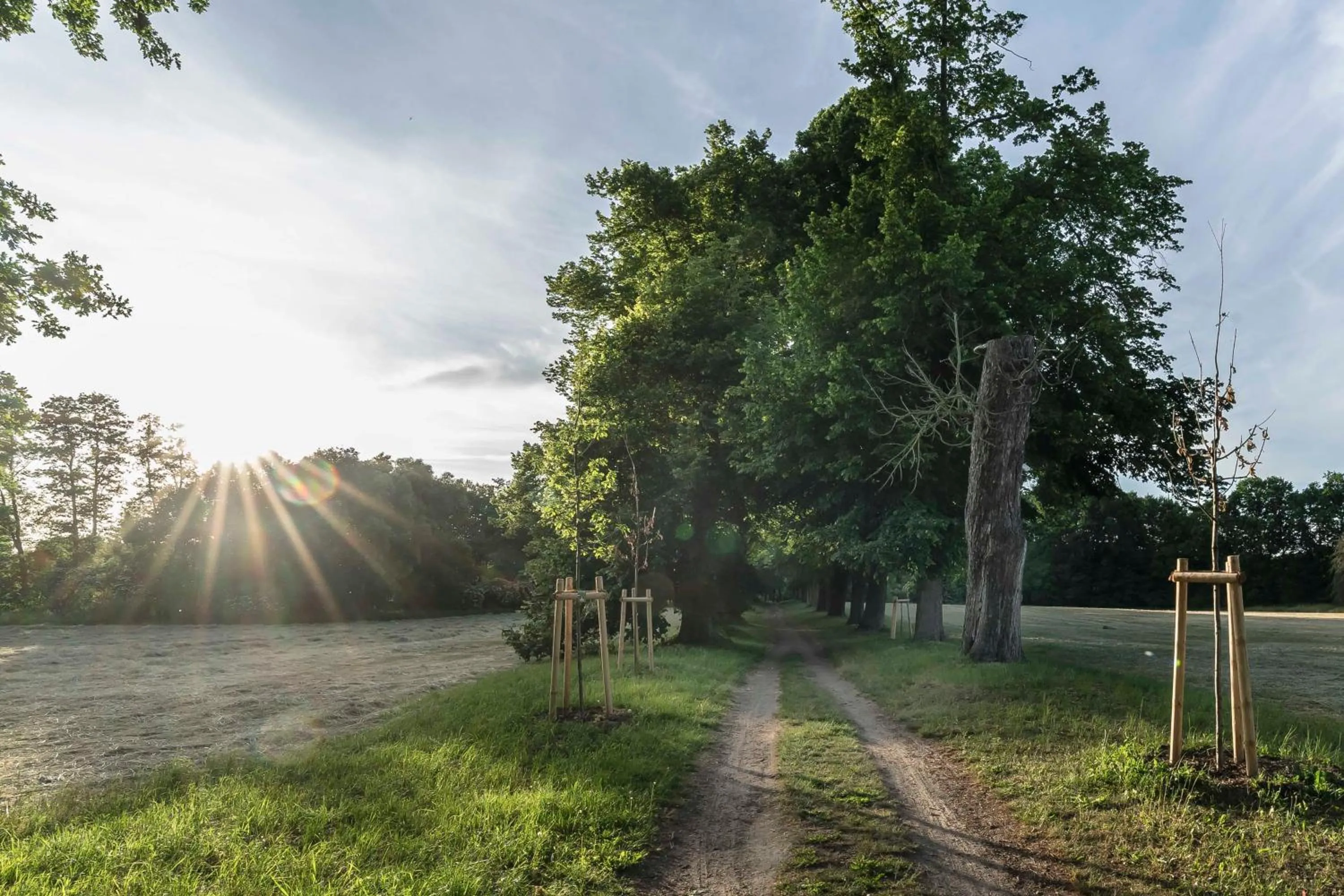 Natural landscape in Hotel Markgraf