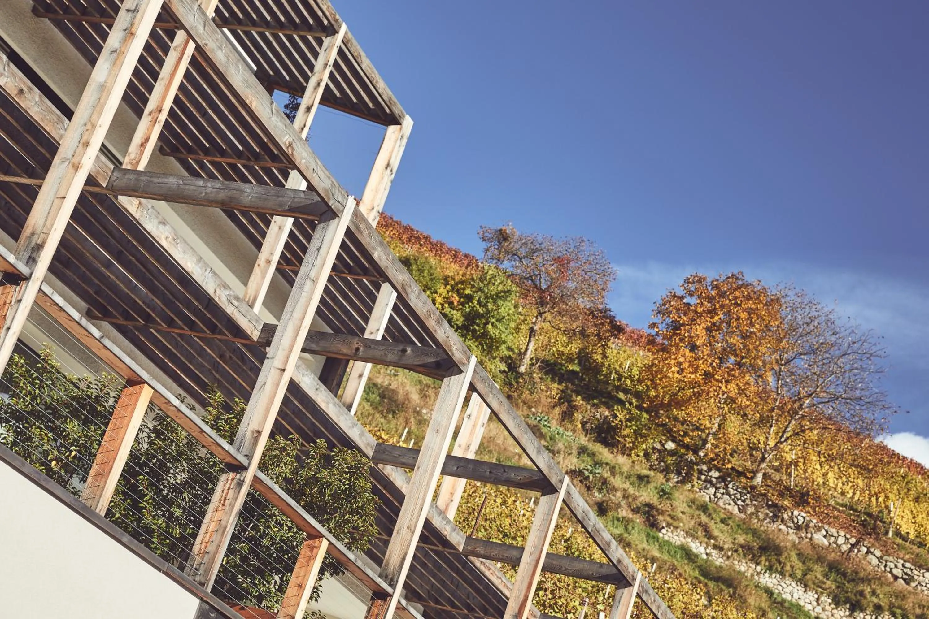 Garden in Haller Suites & Restaurant