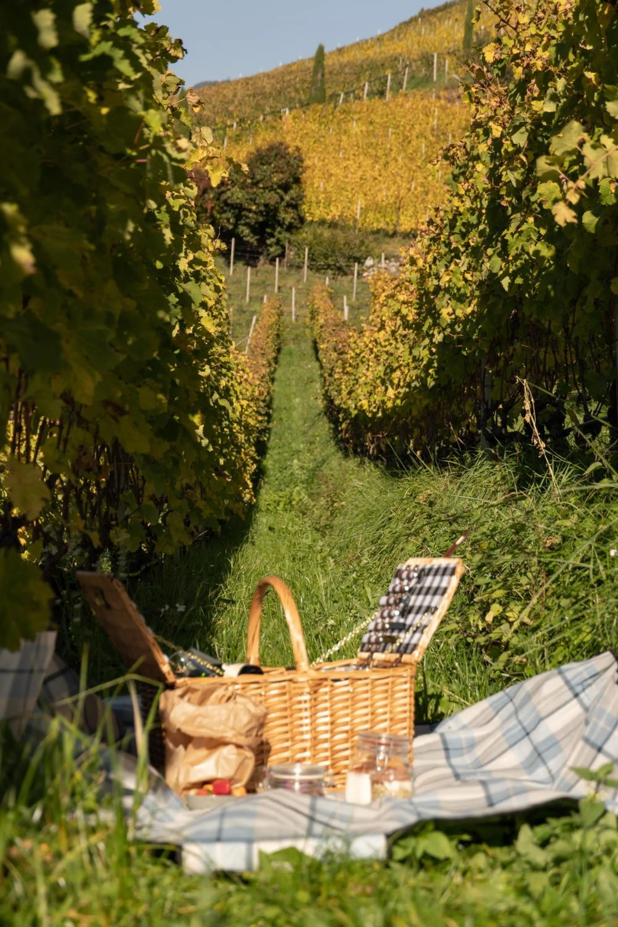 Garden view in Haller Suites & Restaurant
