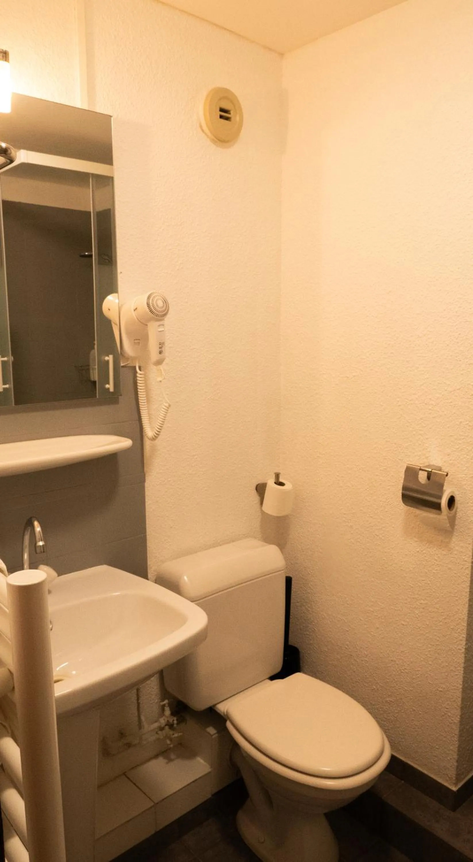 Toilet in Hotel Chalet du Crey