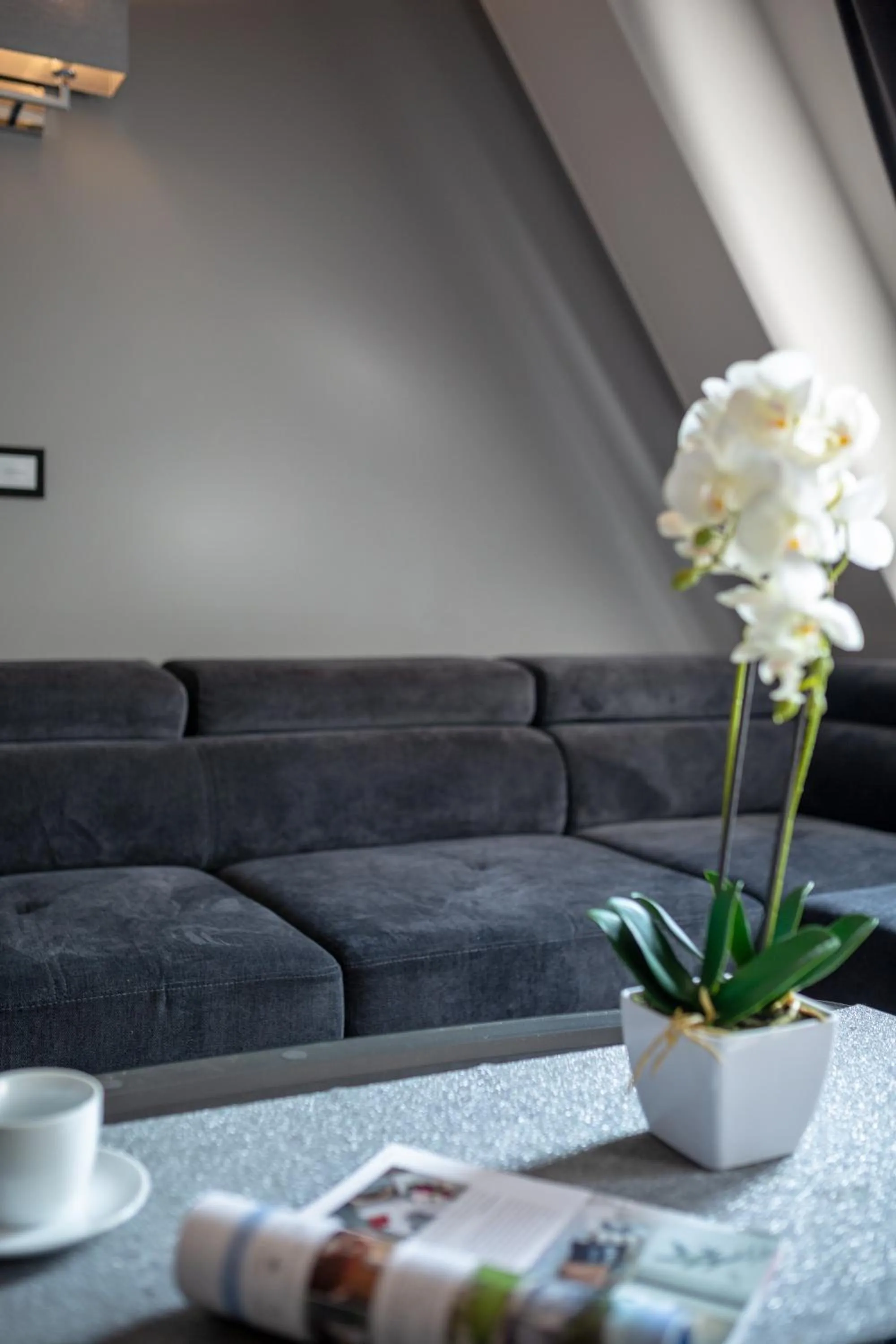 Living room in Aparthotel New Lux